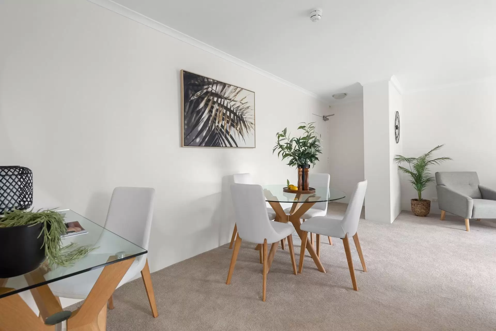 805/5 Jersey Road, Artarmon Sold by Shead Property - image 1
