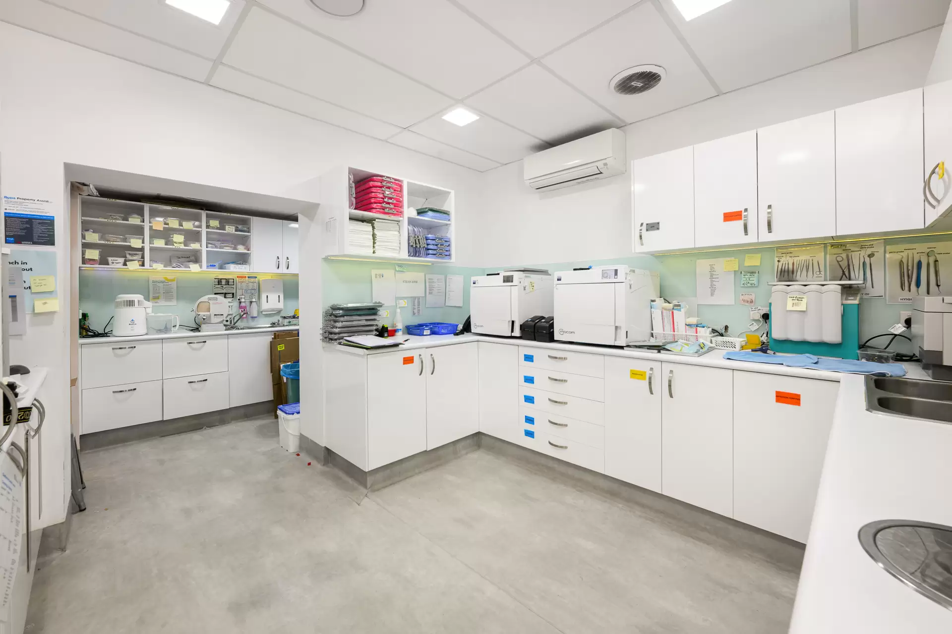 2A Blakesley Street, Chatswood Sold by Shead Property - image 1
