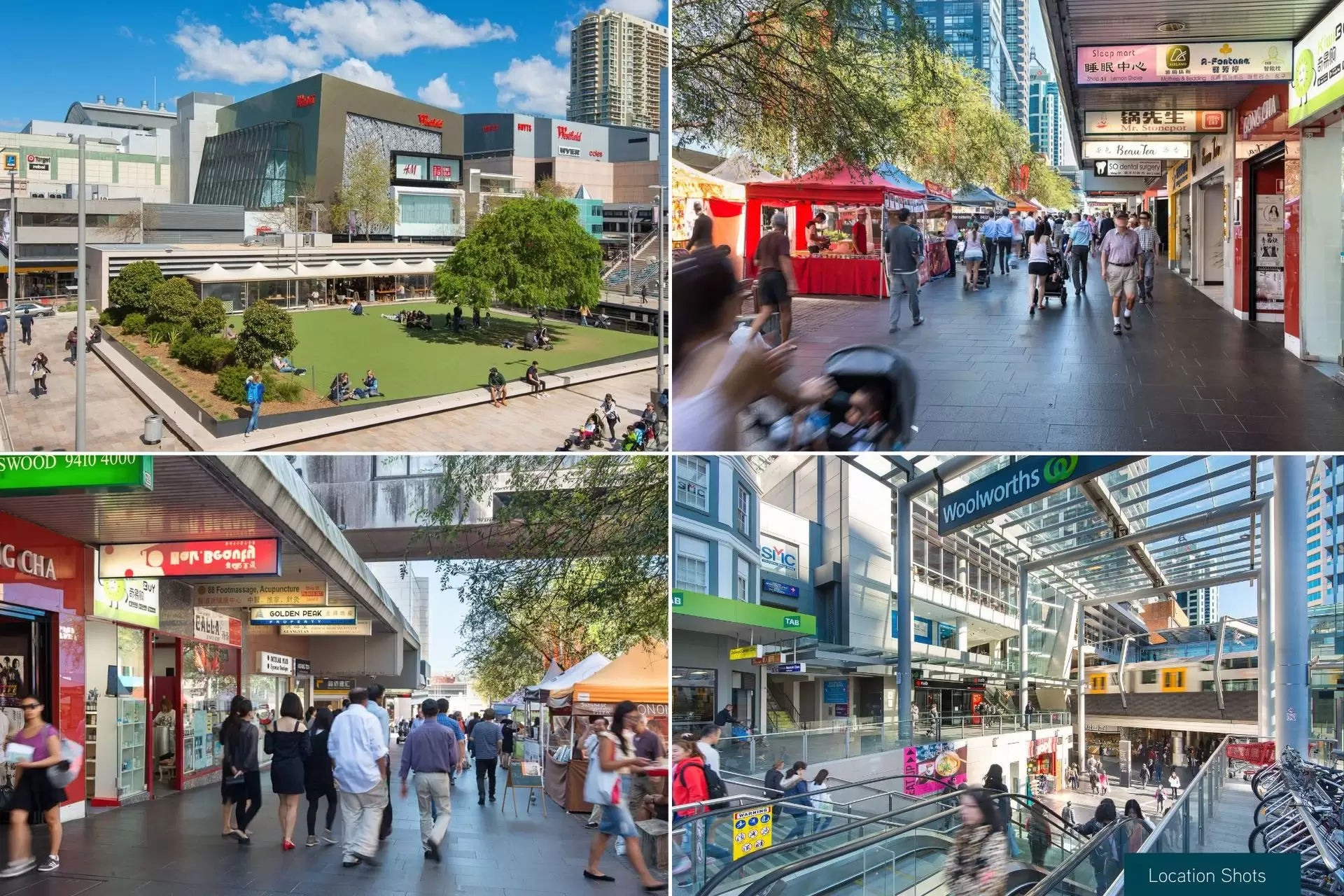 Chatswood Leased by Shead Property - image 1