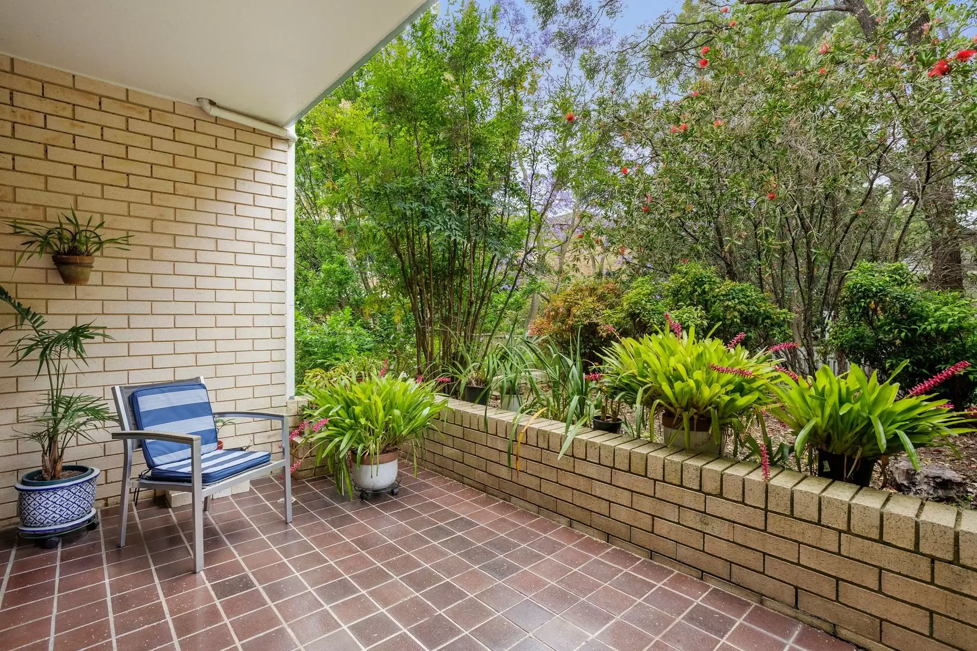 1/13-17 Clanwilliam Street, North Willoughby Sold by Shead Property - image 1