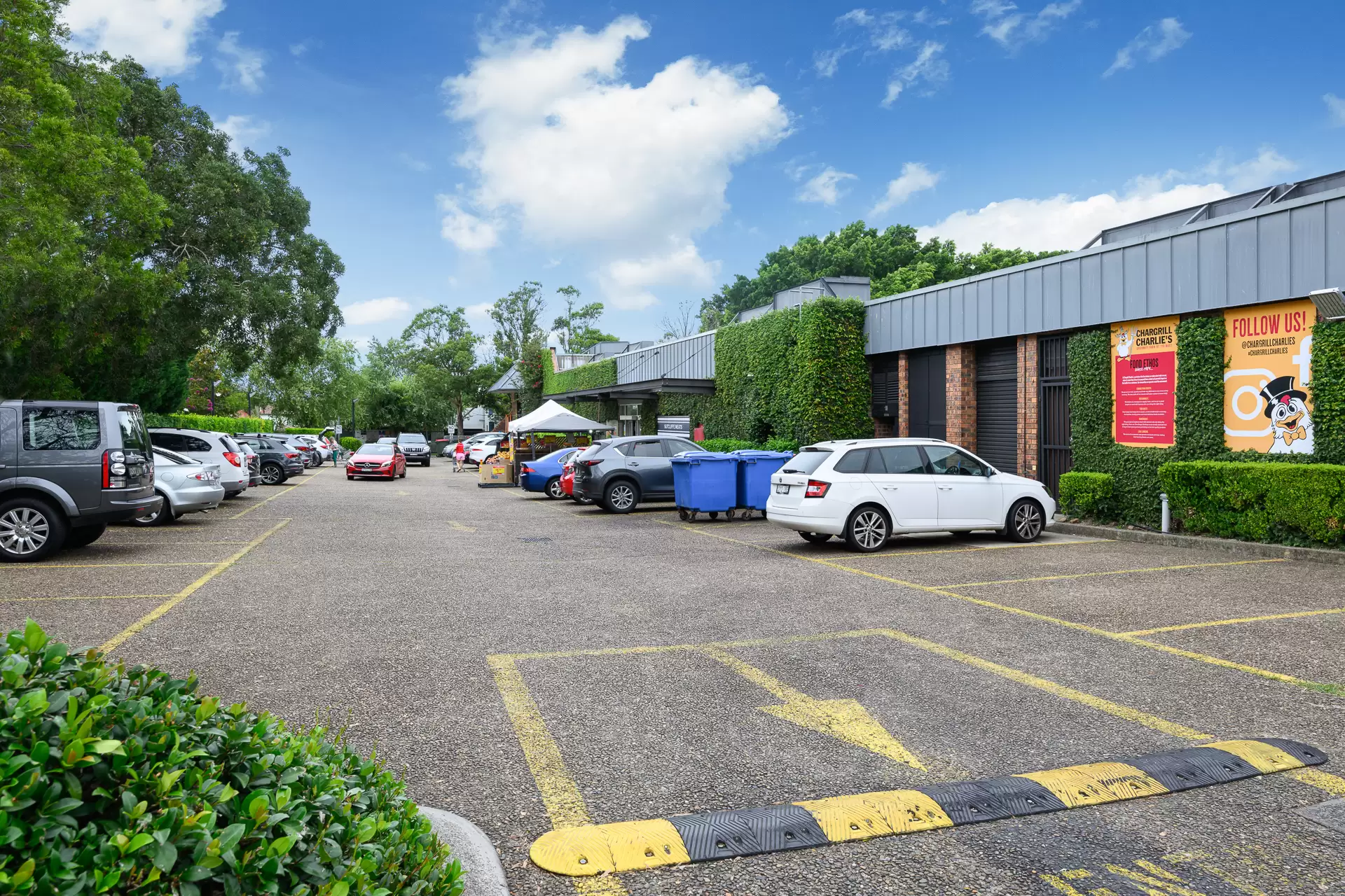 Willoughby Leased by Shead Property - image 1