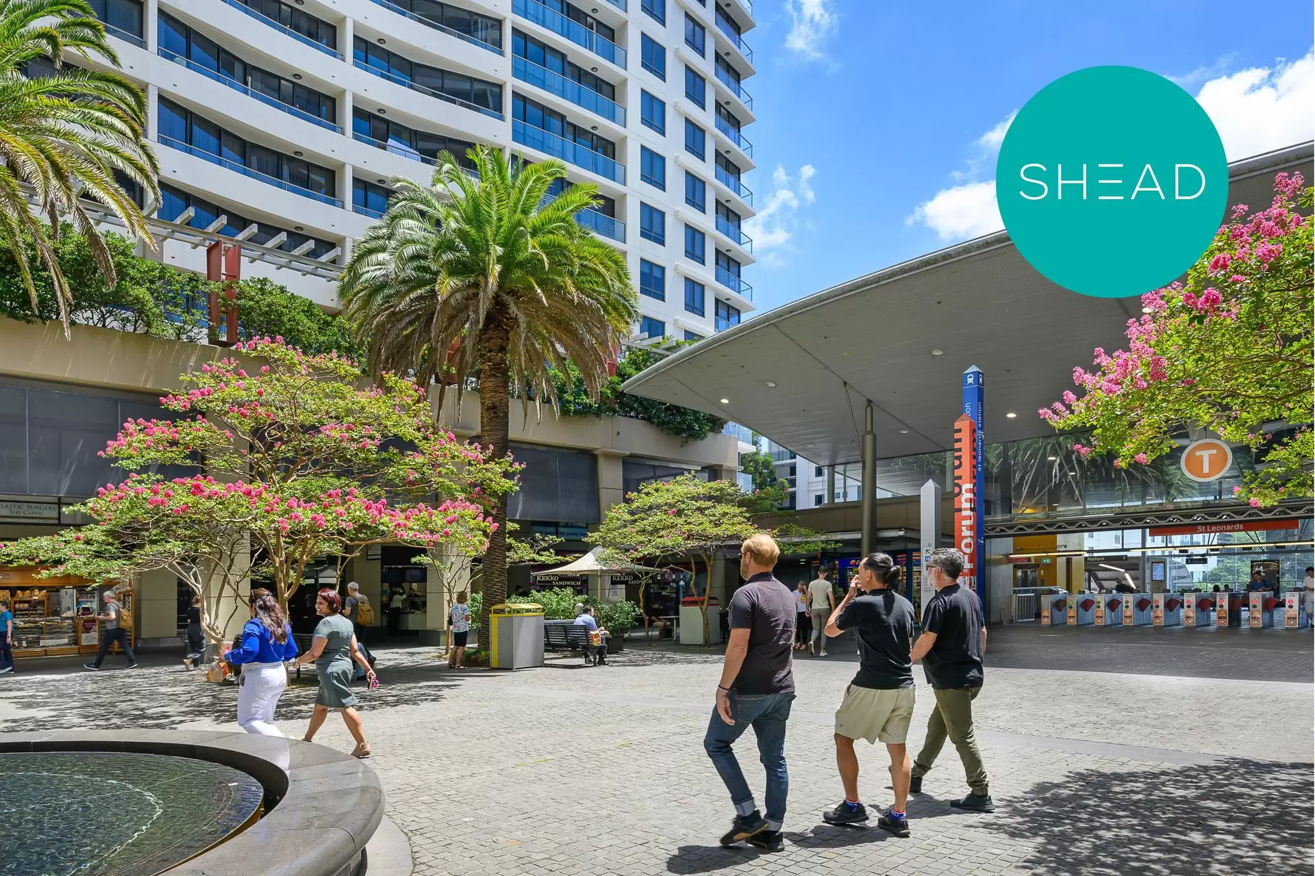 St Leonards Leased by Shead Property - image 1