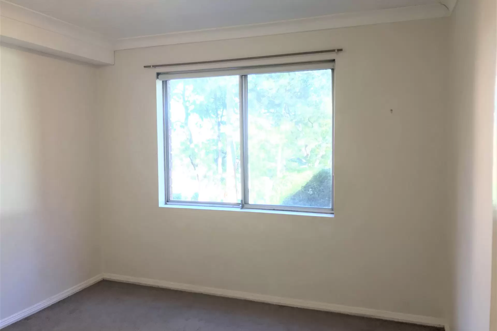 Artarmon Leased by Shead Property - image 1
