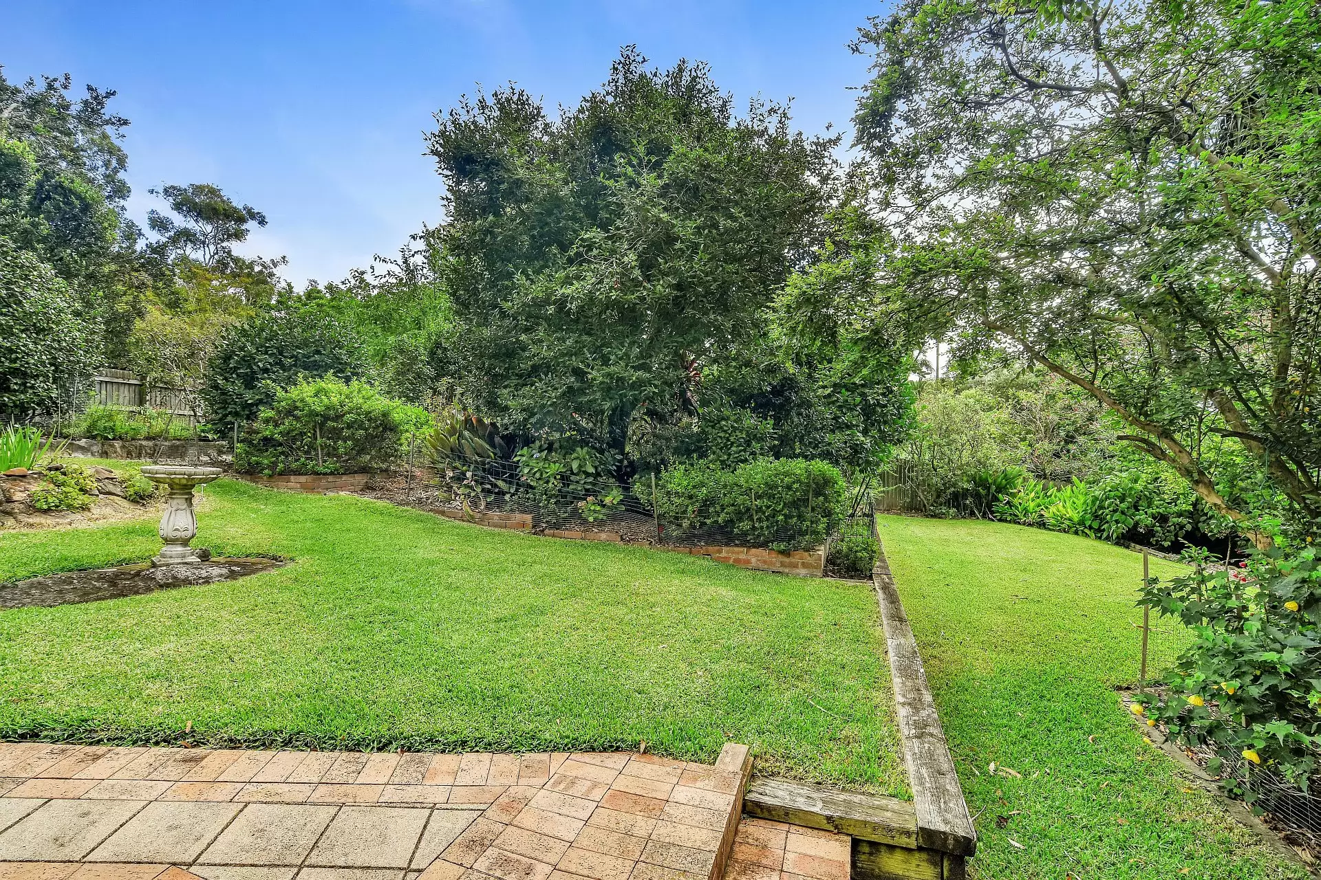 Chatswood Leased by Shead Property - image 1