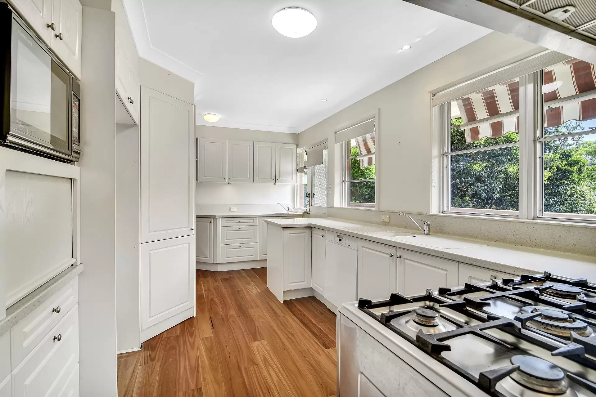 Chatswood Leased by Shead Property - image 1