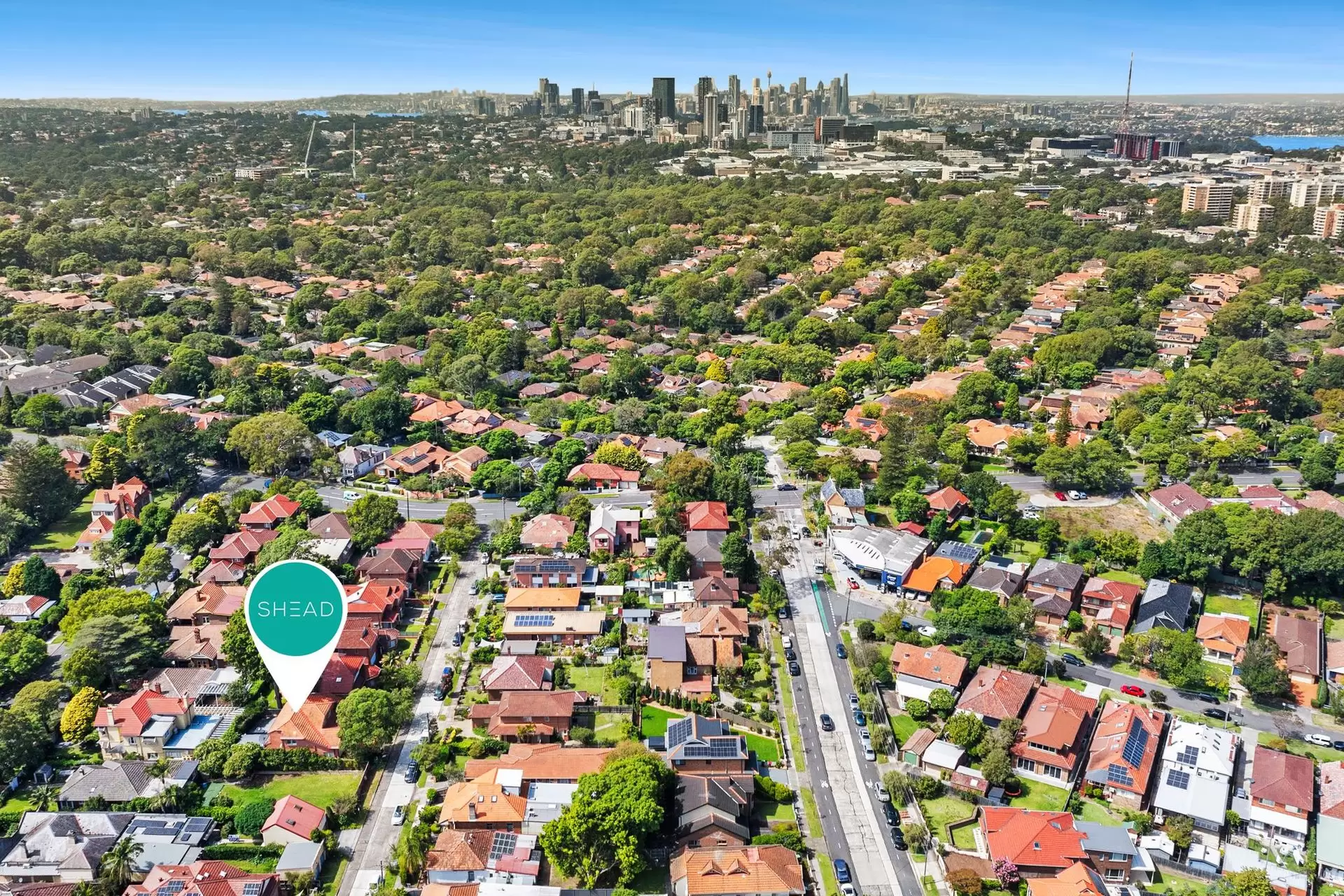 11 Claude Street, Chatswood Sold by Shead Property - image 1