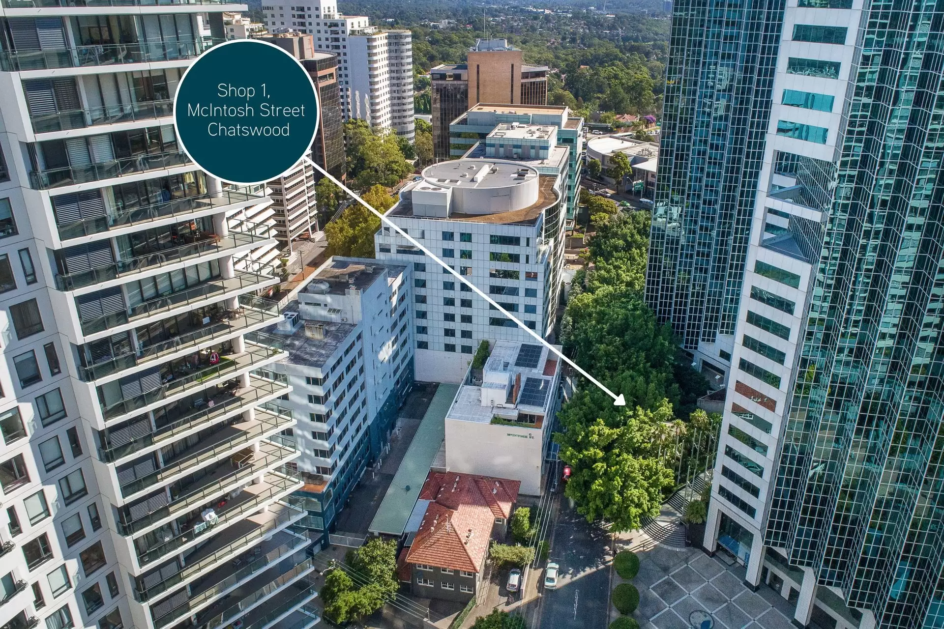 Chatswood Leased by Shead Property - image 1
