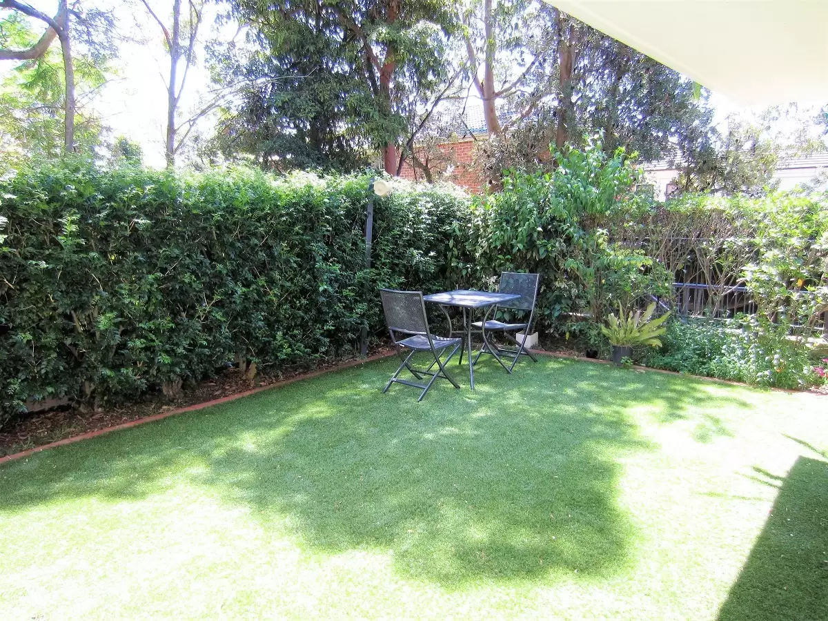 Chatswood Leased by Shead Property - image 1