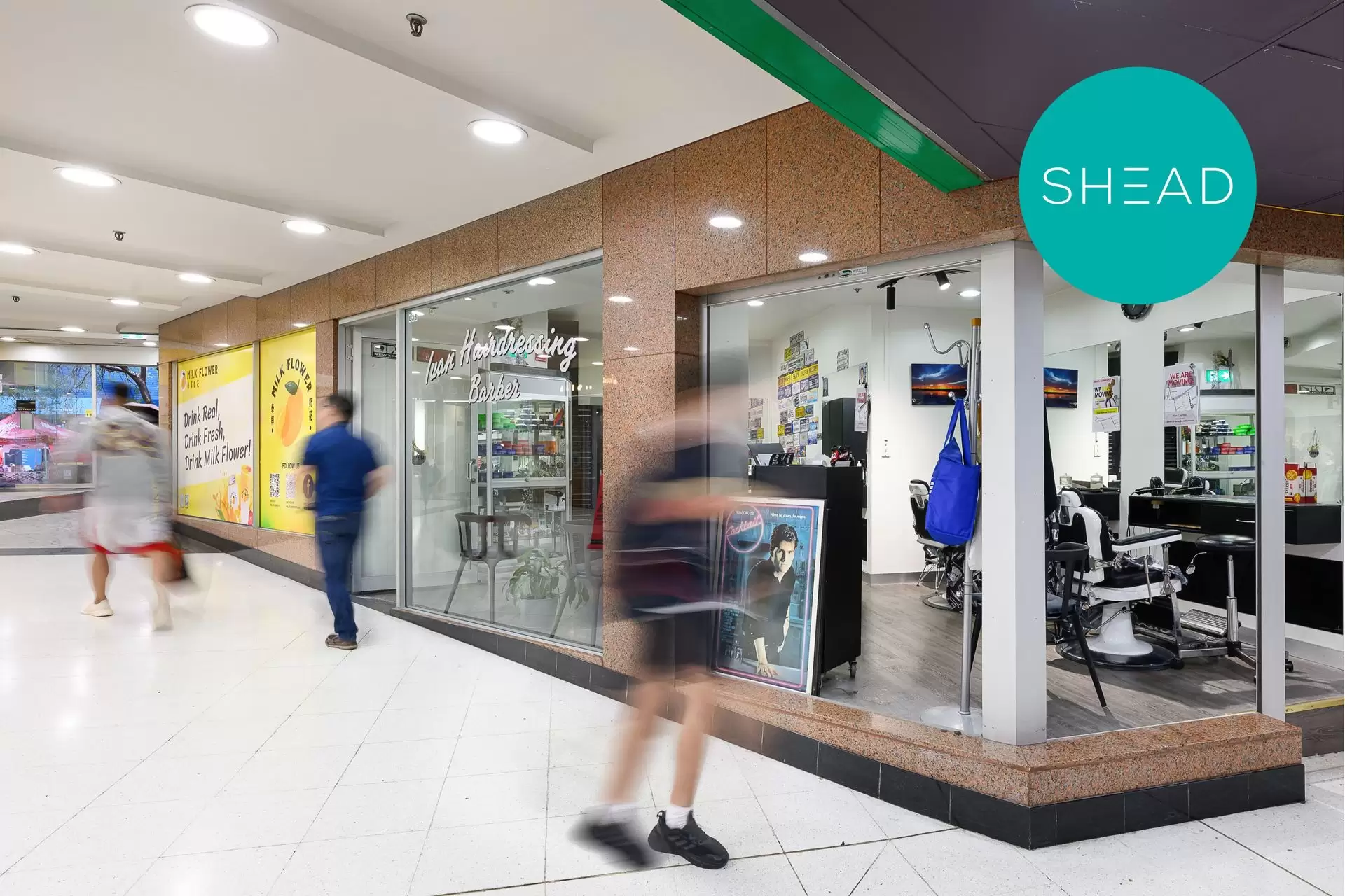 Chatswood Leased by Shead Property - image 1