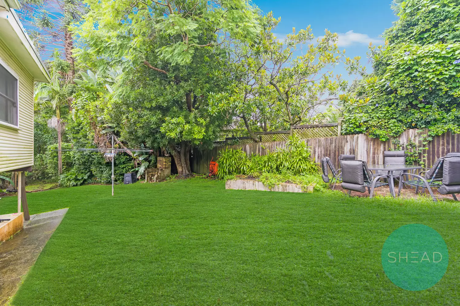 Roseville Leased by Shead Property - image 1
