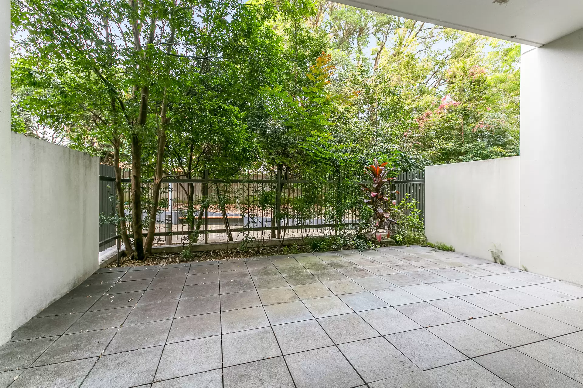 Chatswood Leased by Shead Property - image 1
