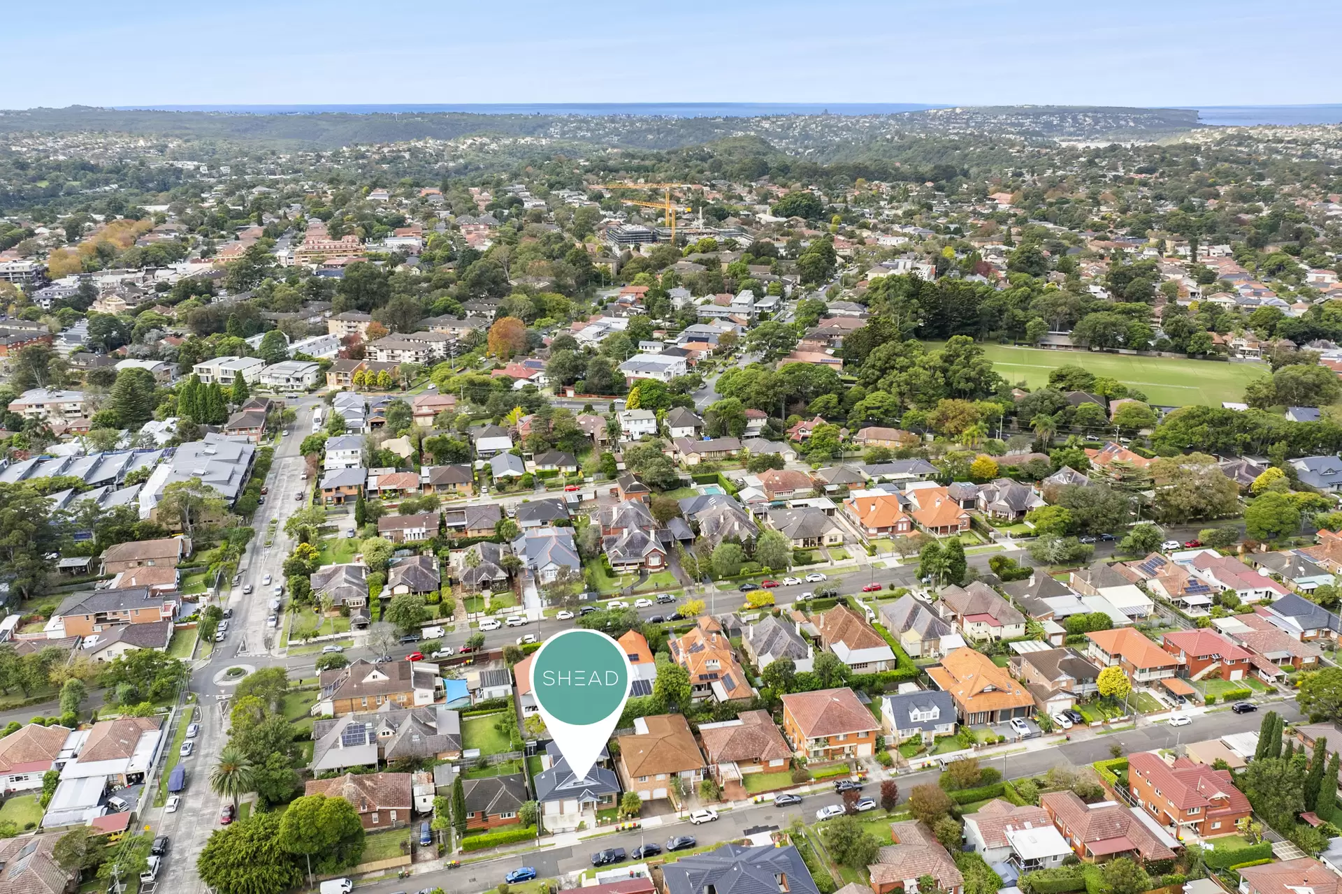 25 Olga Street, Chatswood Sold by Shead Property - image 1