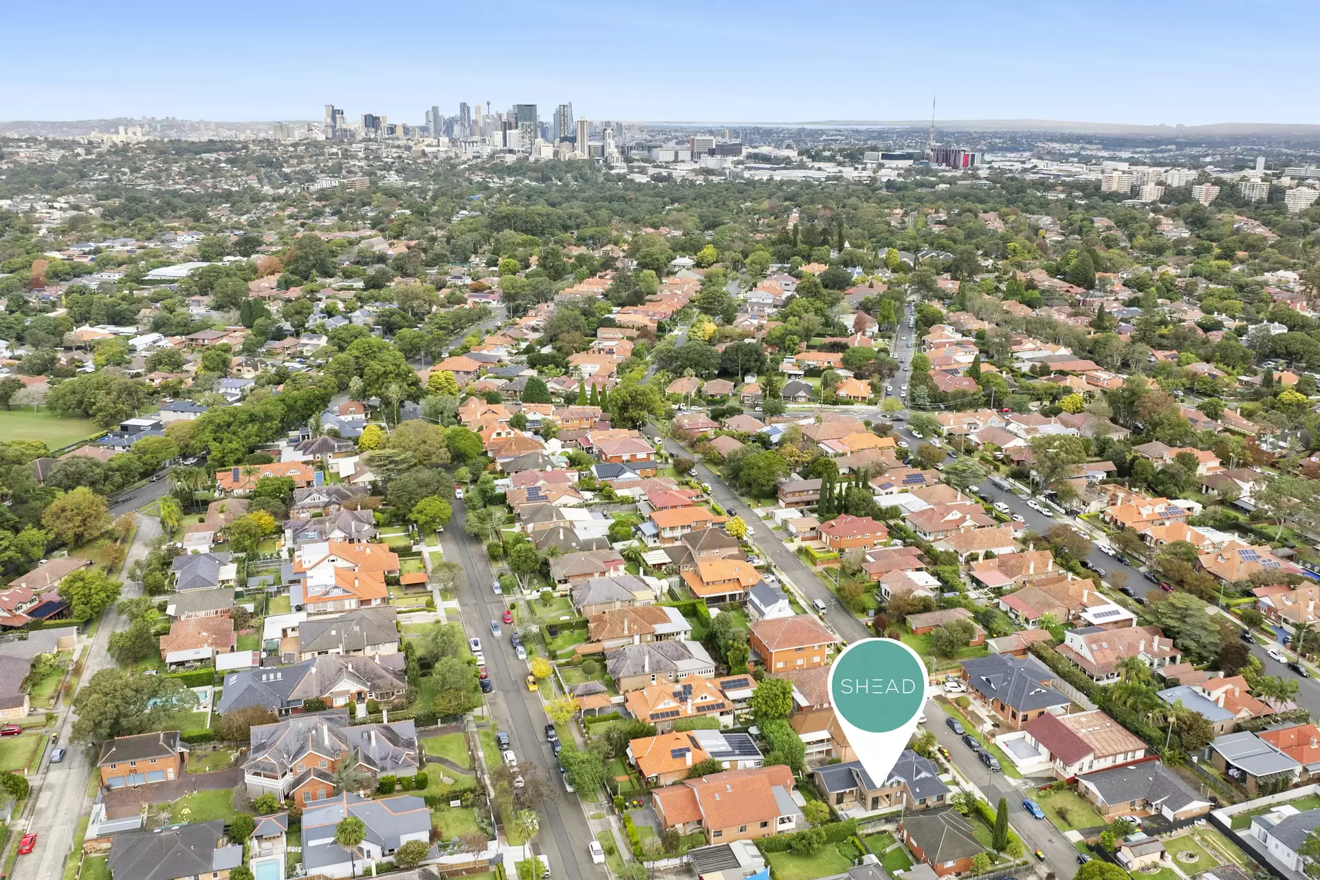 25 Olga Street, Chatswood Sold by Shead Property - image 1