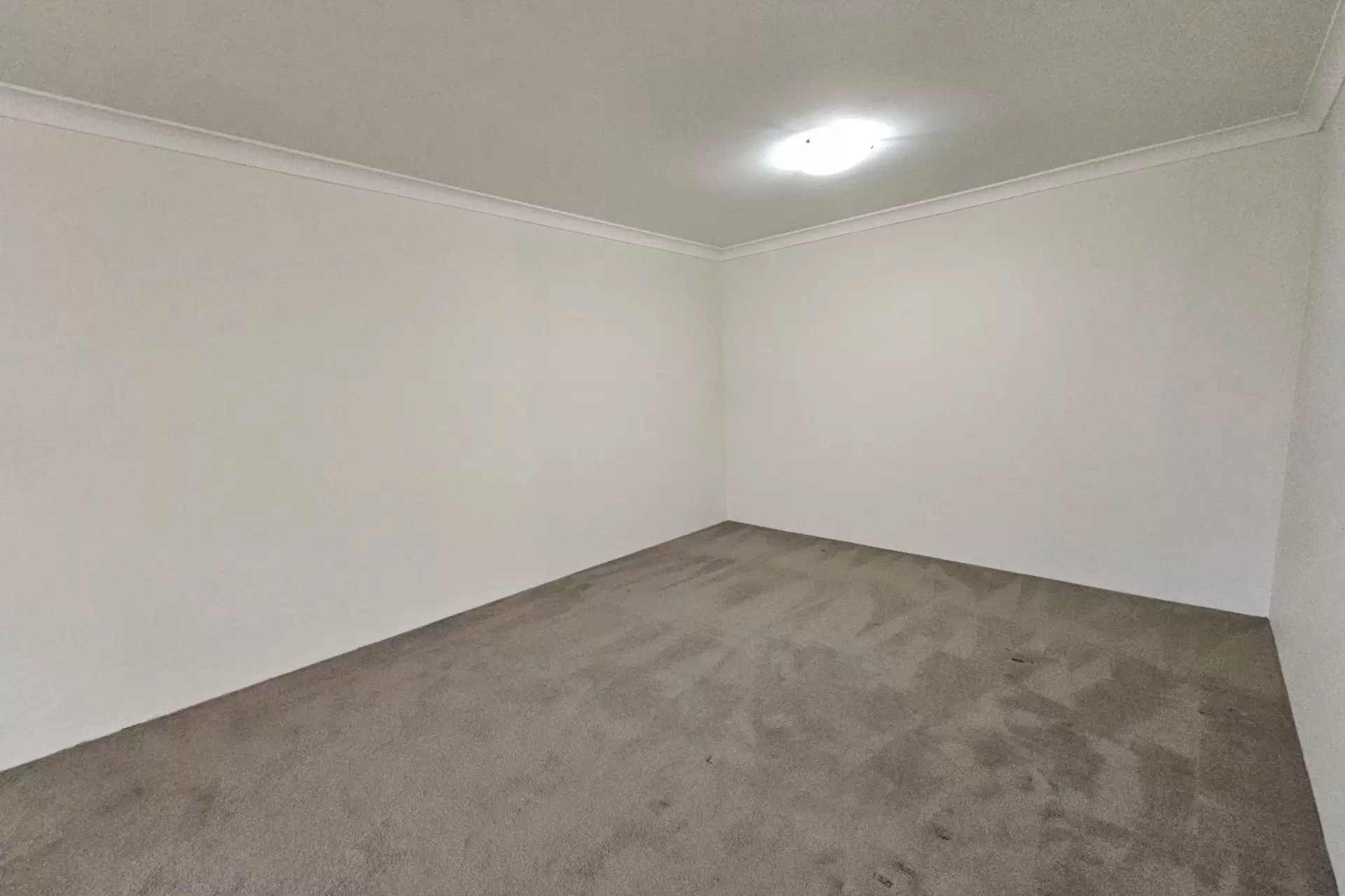 Artarmon Leased by Shead Property - image 1