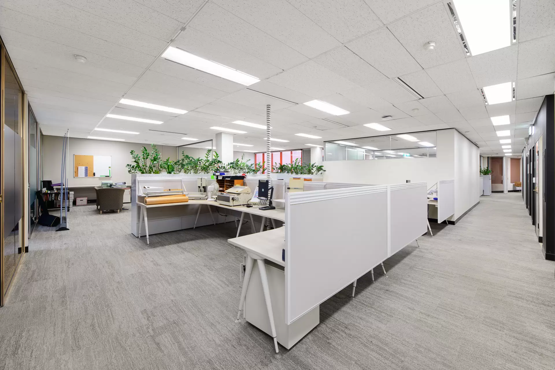 North Sydney Leased by Shead Property - image 1