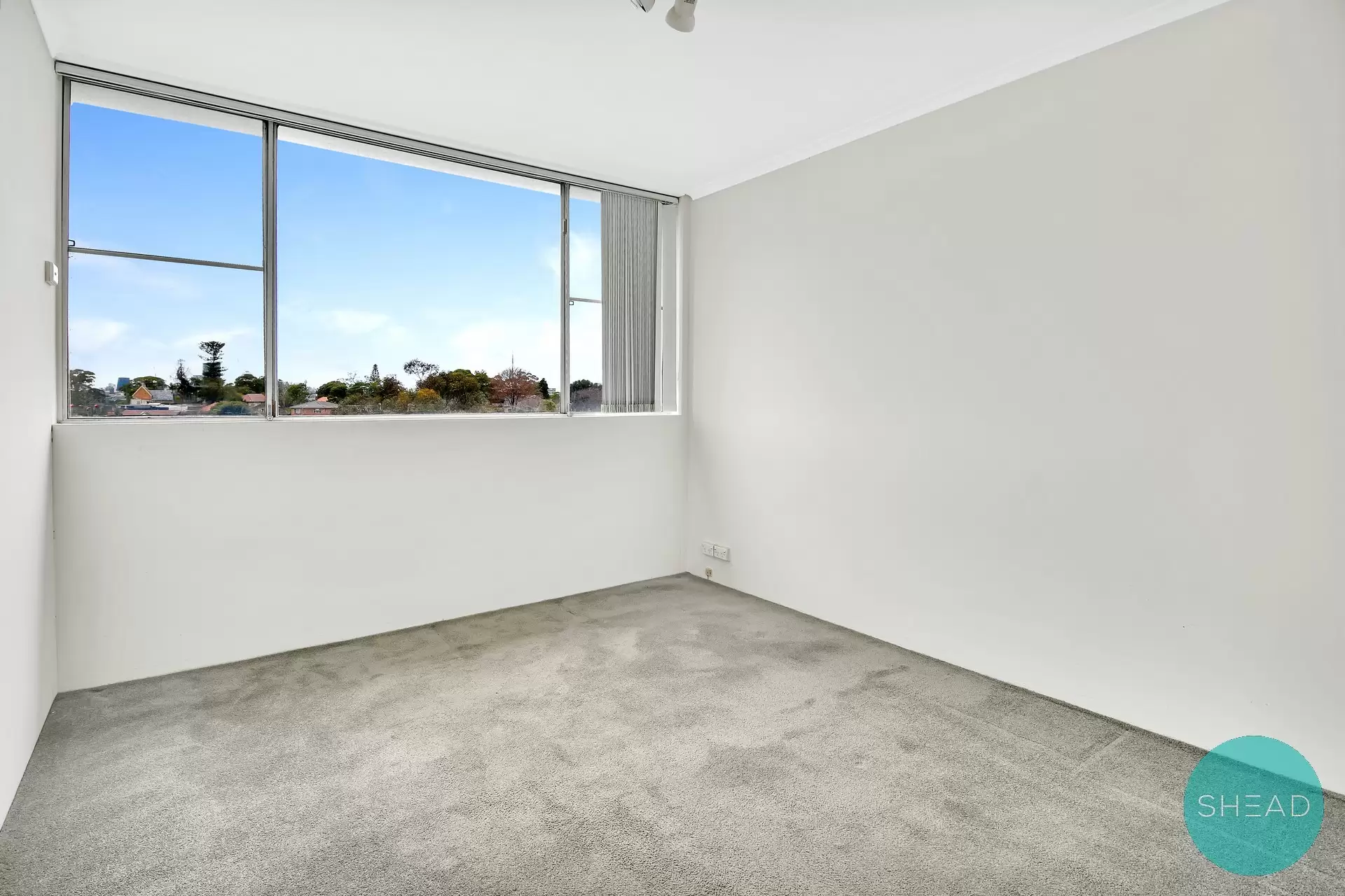 Chatswood Leased by Shead Property - image 1