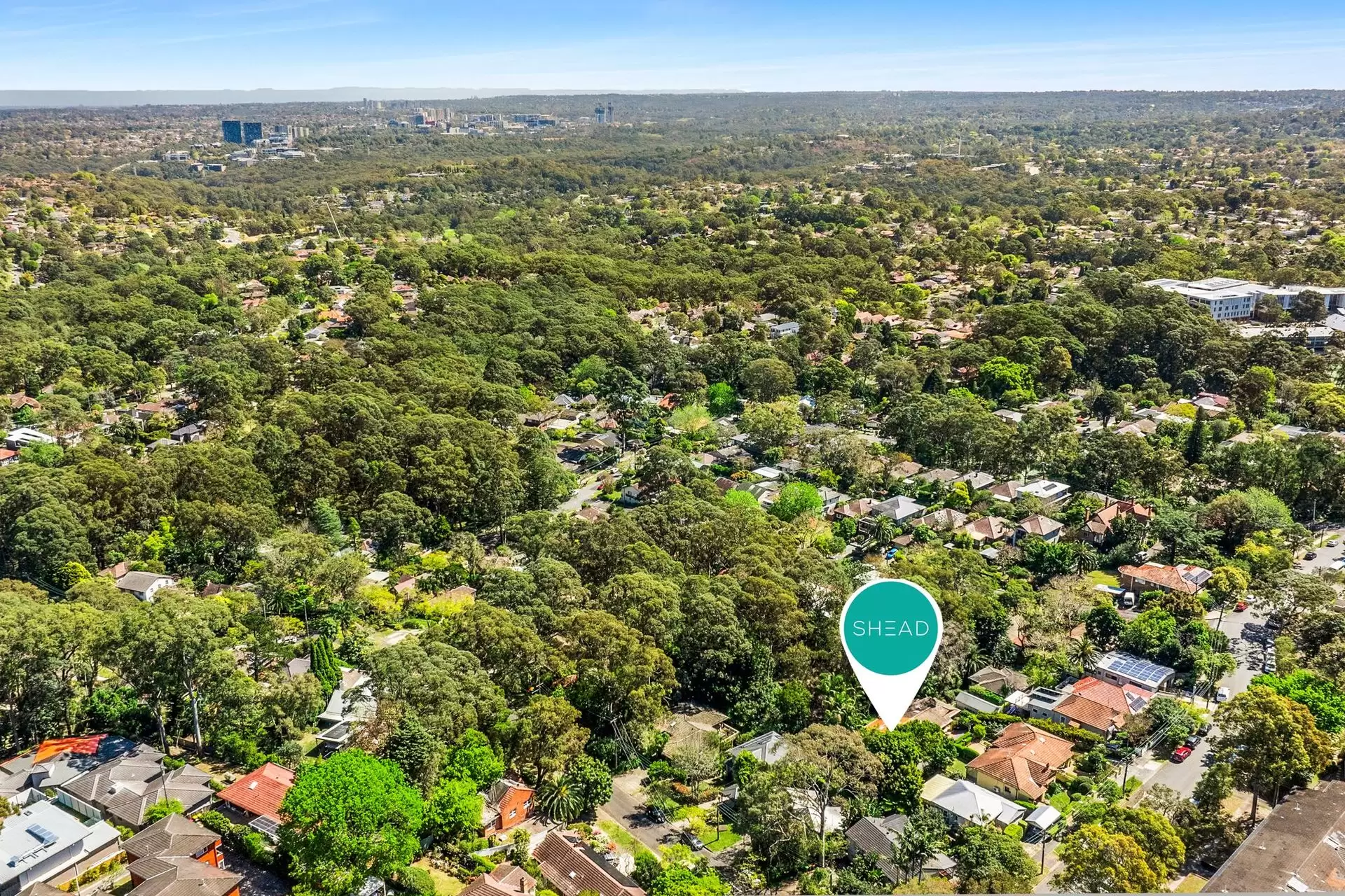 12A Goodchap Road, Chatswood Sold by Shead Property - image 1