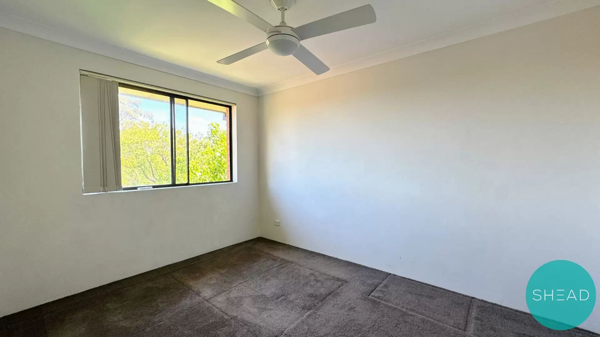 Artarmon Leased by Shead Property - image 1