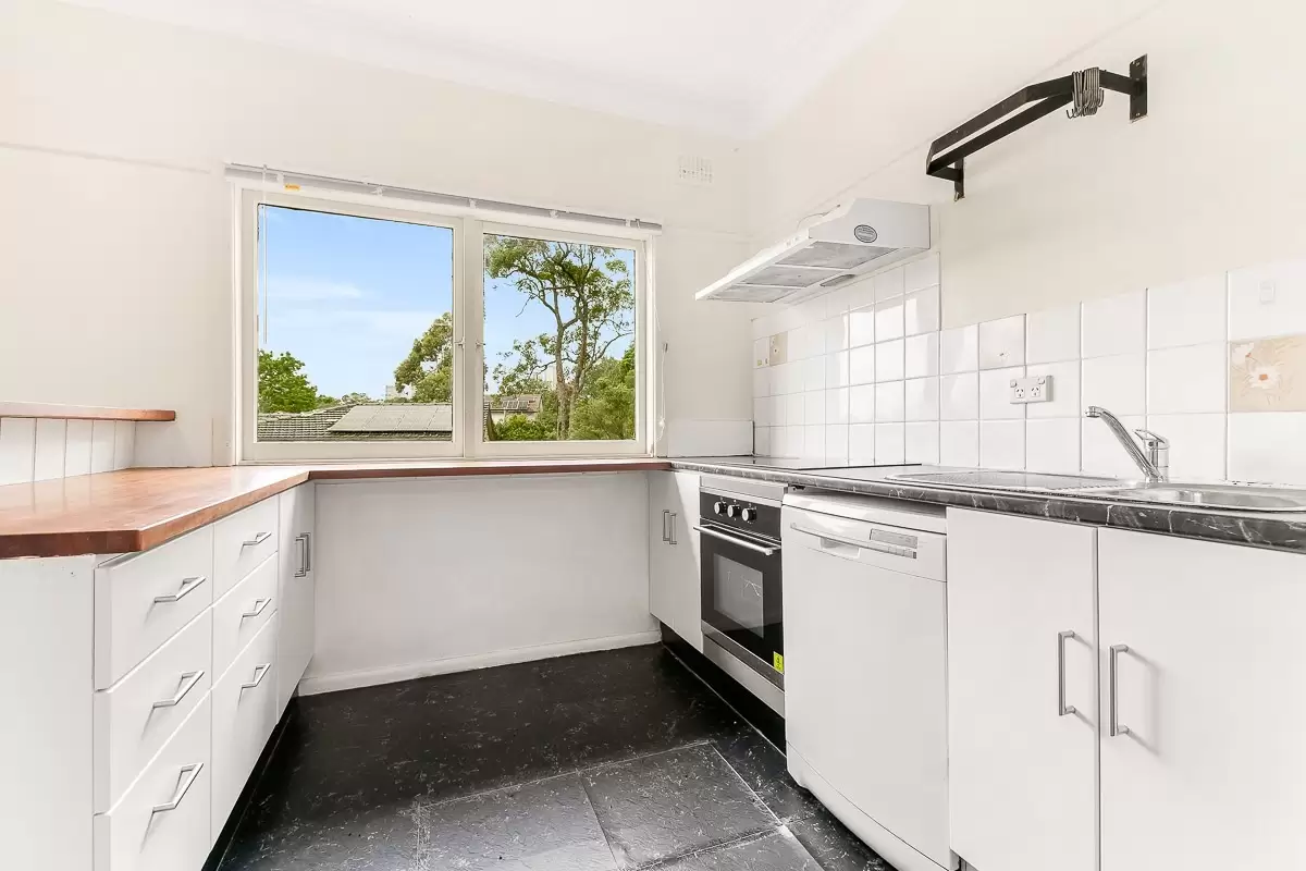 Chatswood Leased by Shead Property - image 1