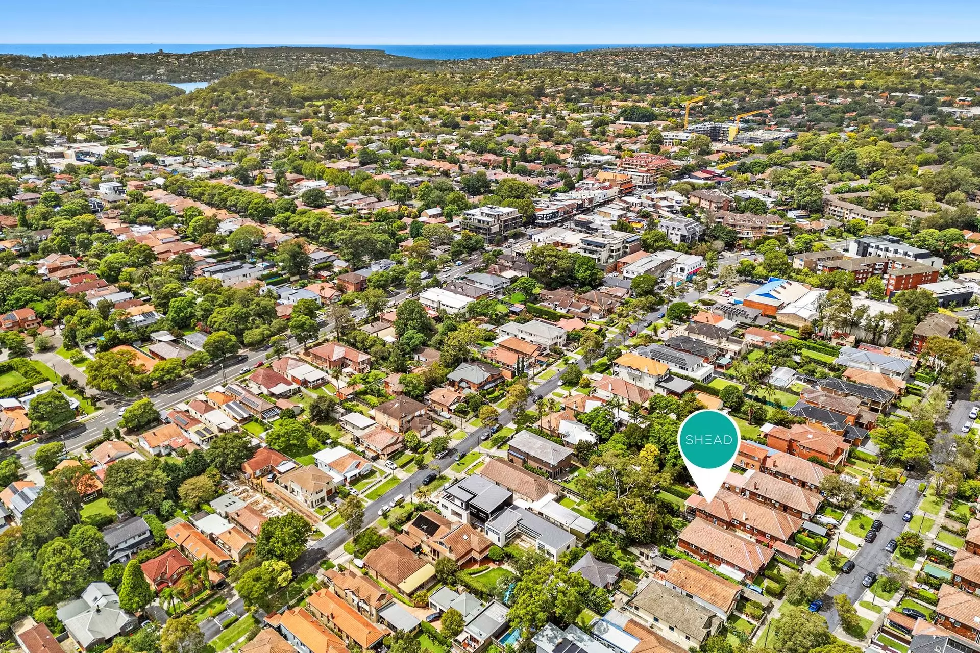 19 Crick Street, Chatswood Sold by Shead Property - image 1