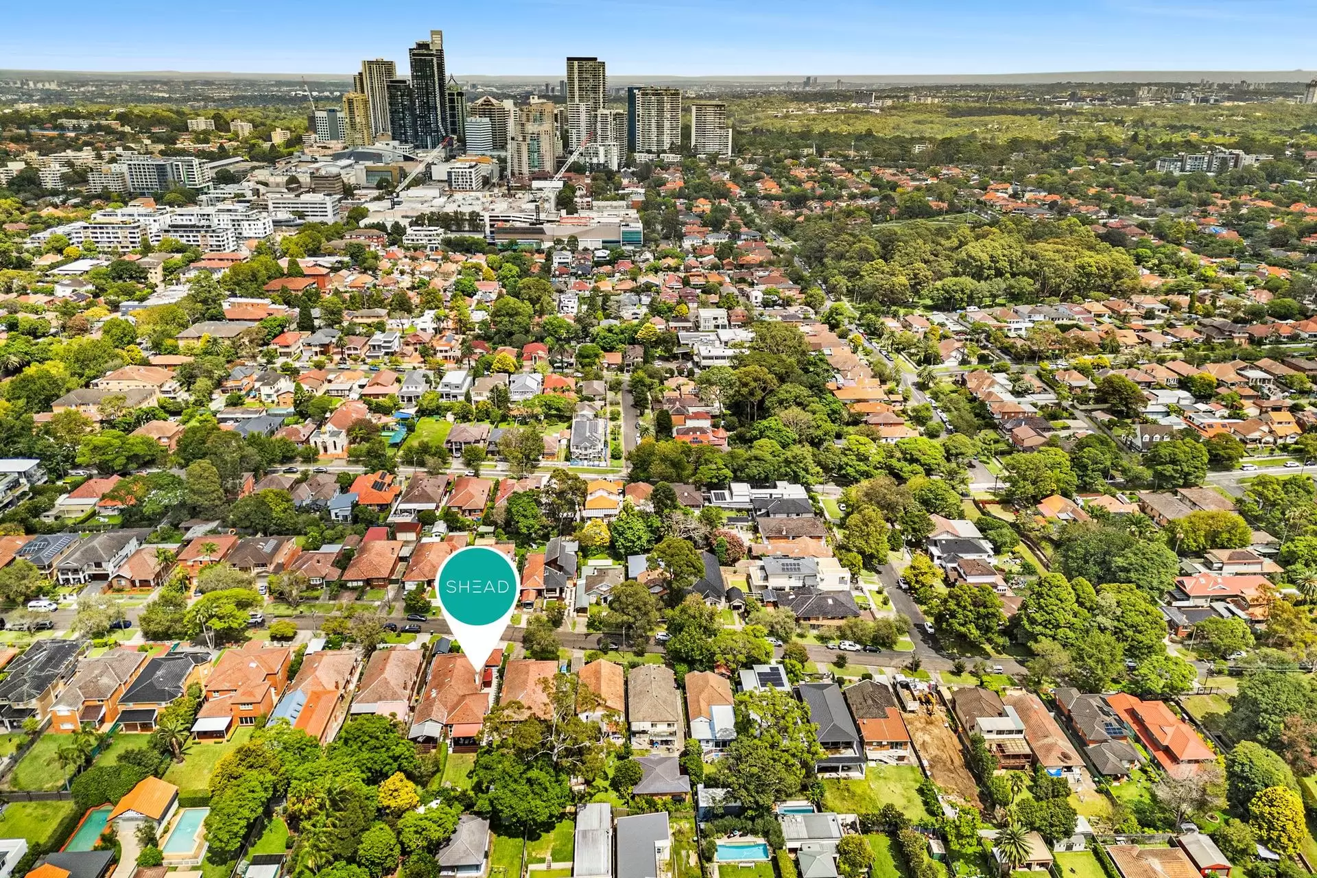19 Crick Street, Chatswood Sold by Shead Property - image 1