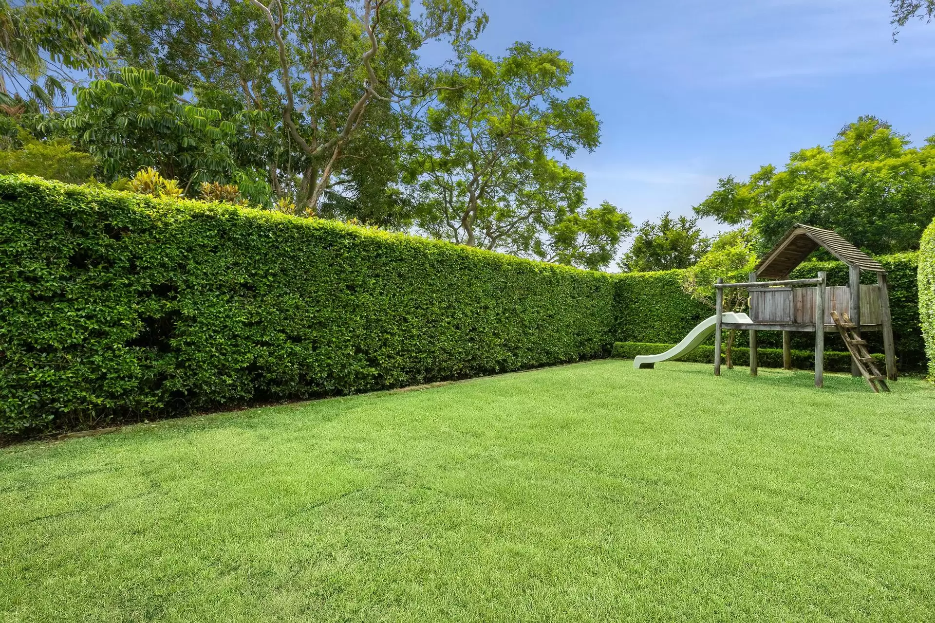 19 Crick Street, Chatswood Sold by Shead Property - image 1