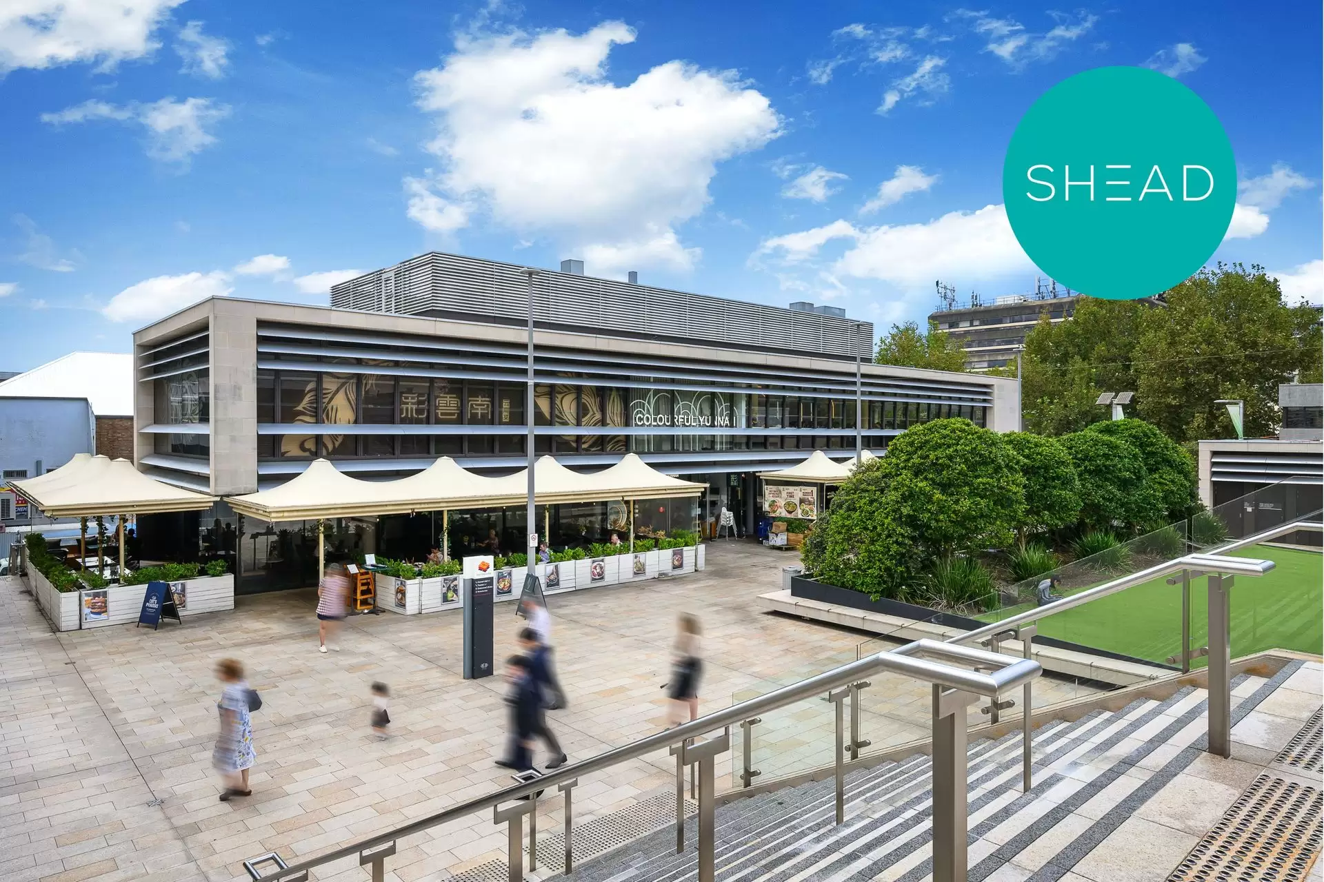 Chatswood Leased by Shead Property - image 1