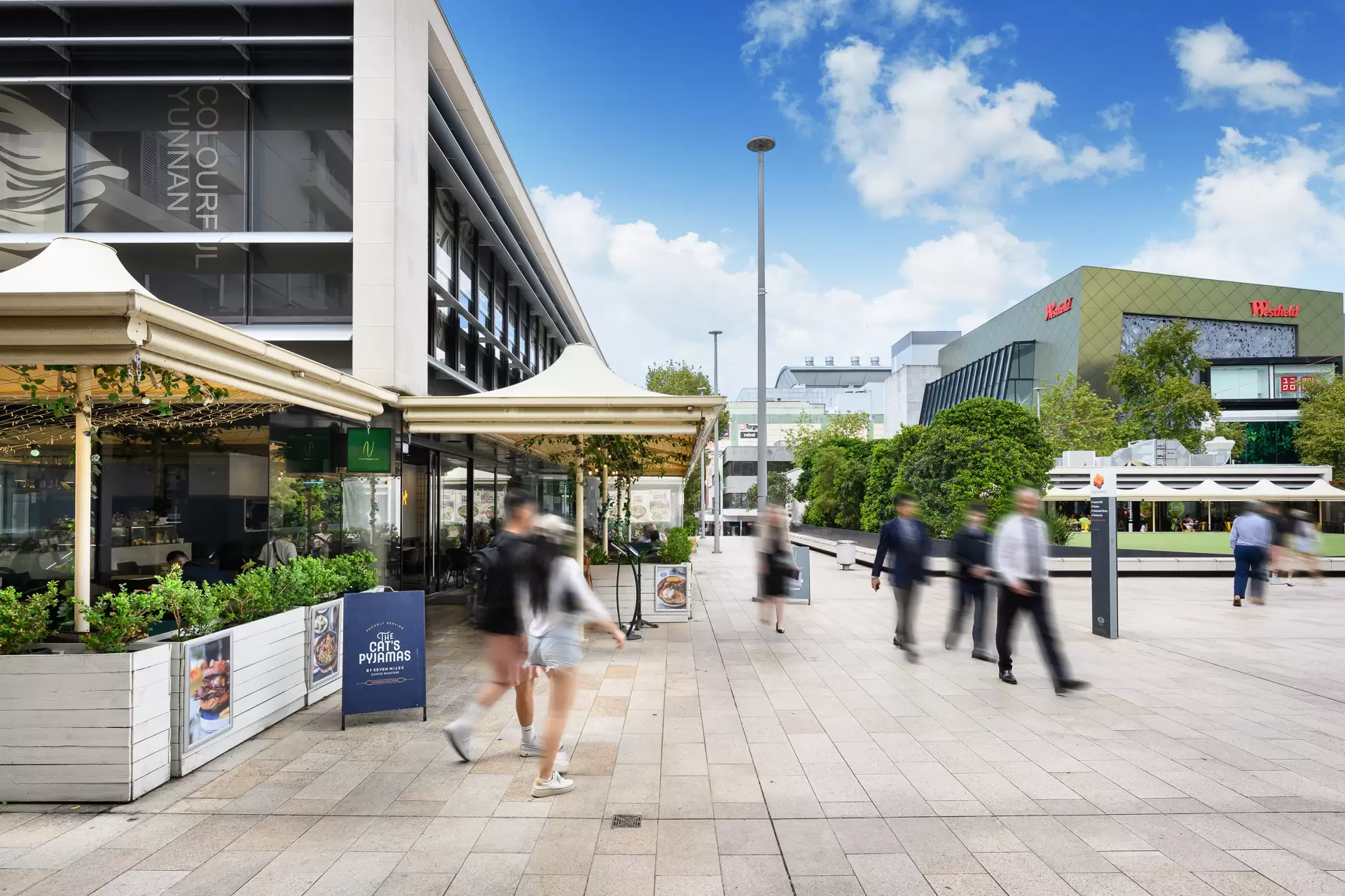 Chatswood Leased by Shead Property - image 1