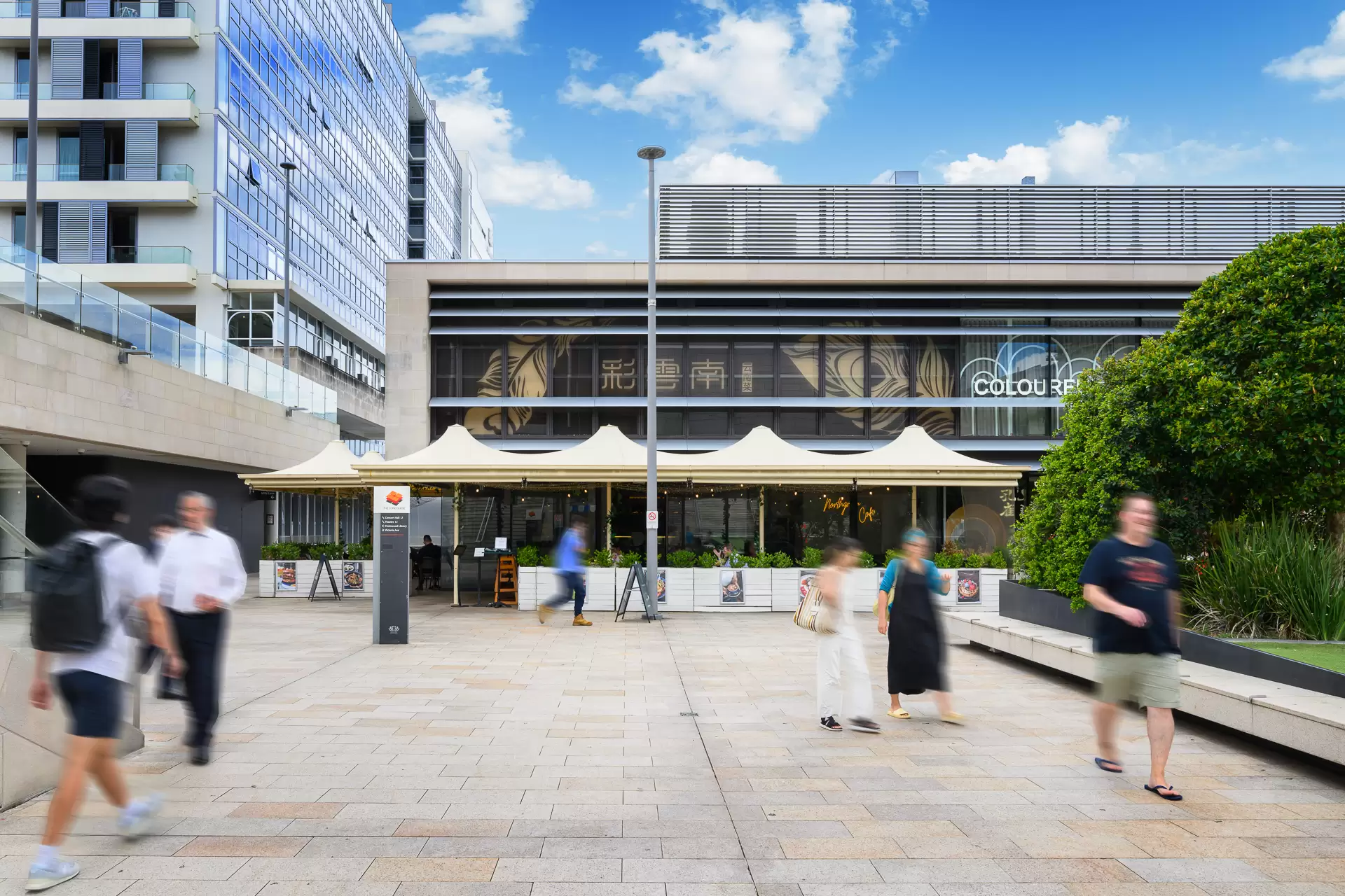 Chatswood Leased by Shead Property - image 1