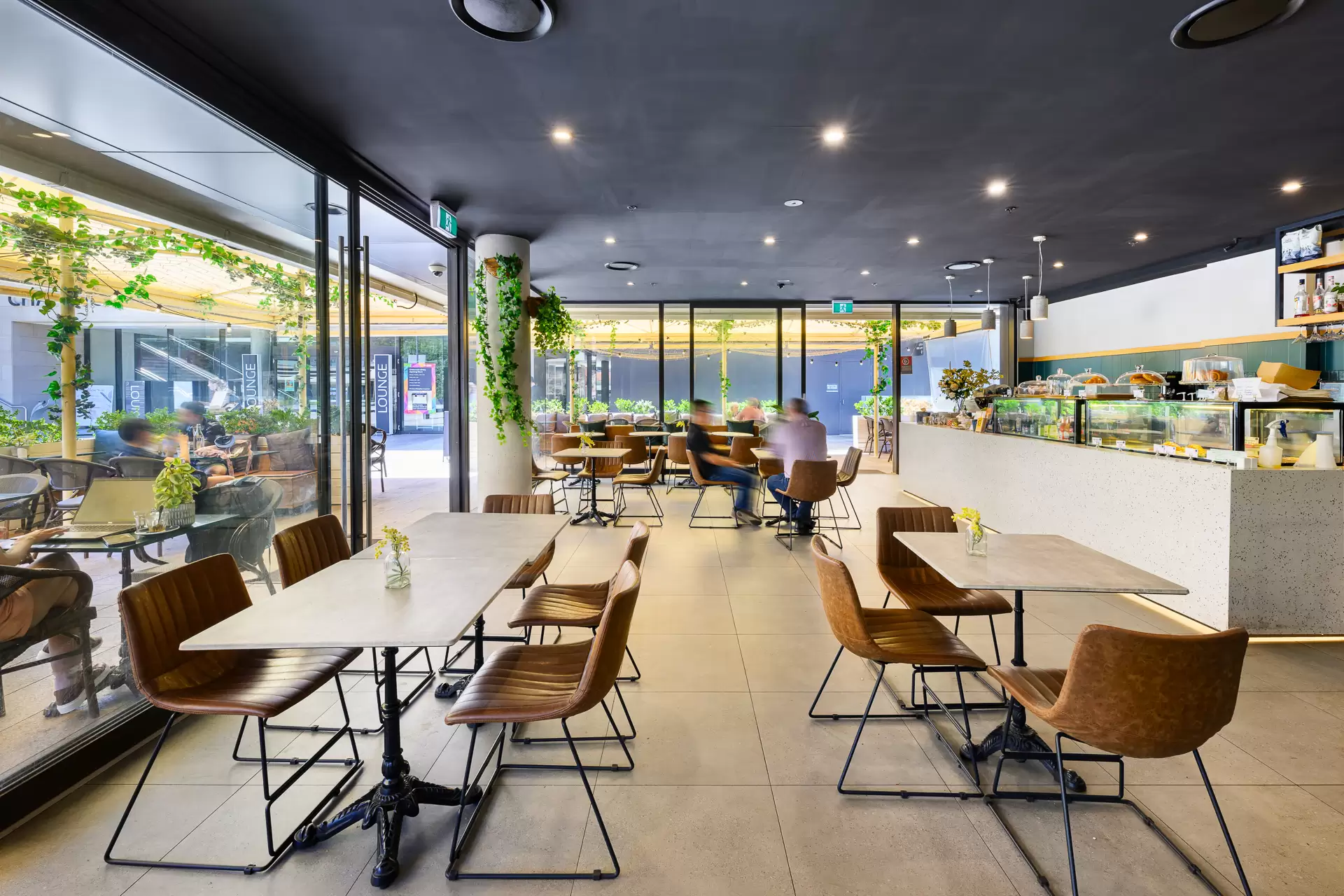 Chatswood Leased by Shead Property - image 1