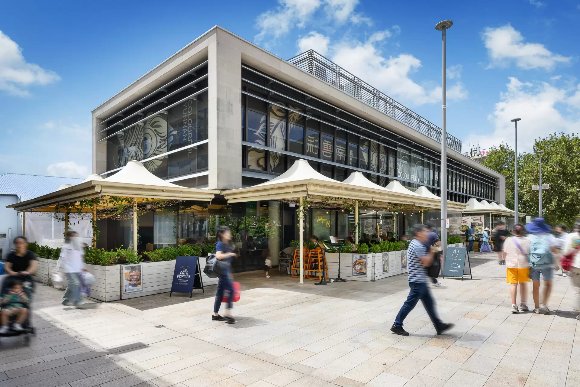 Chatswood Leased by Shead Property - image 1