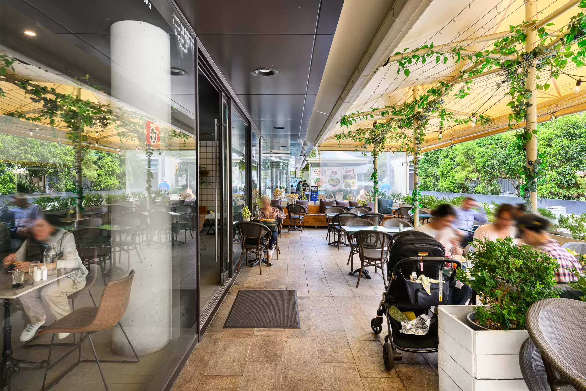 Chatswood Leased by Shead Property - image 1