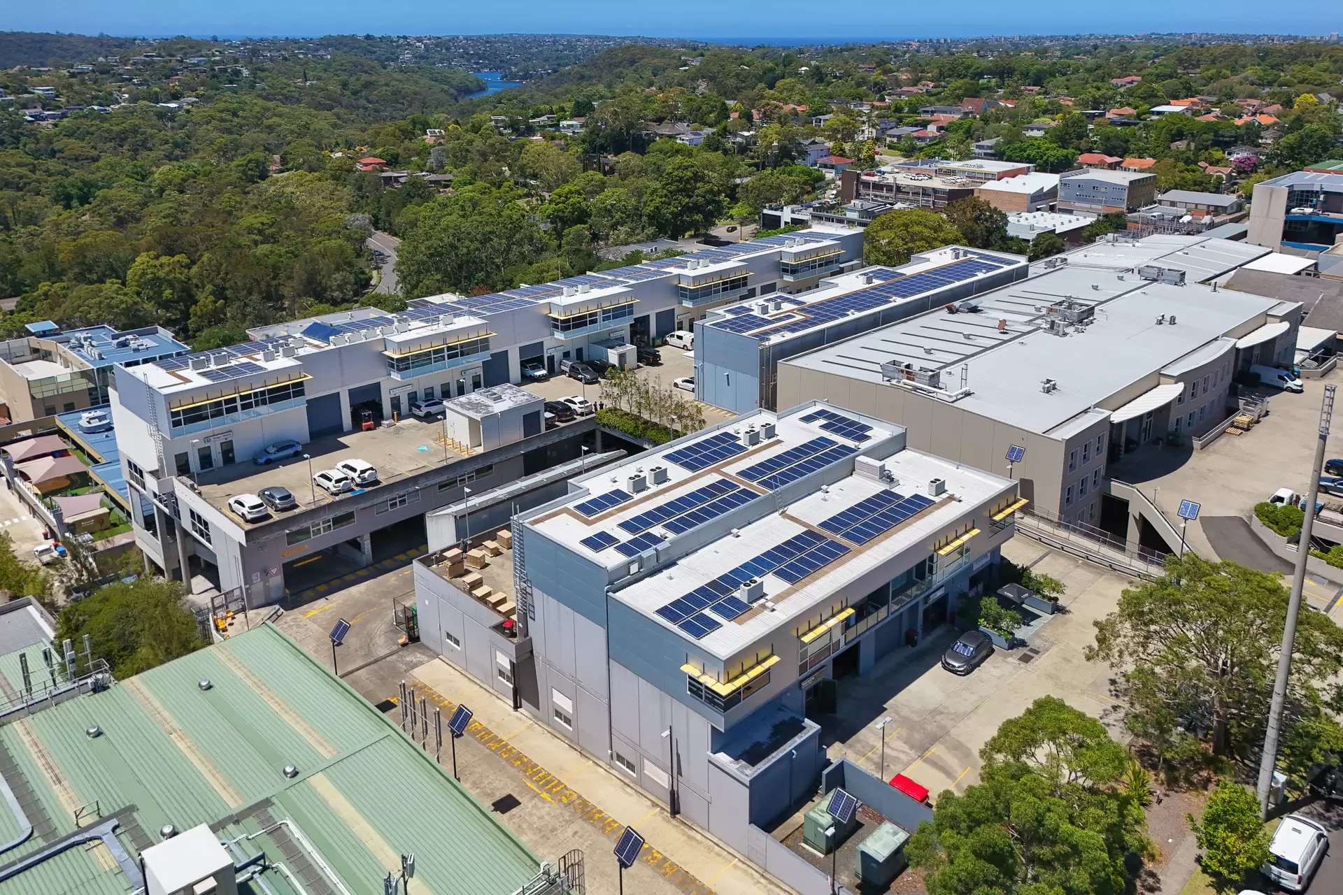 Chatswood Leased by Shead Property - image 1