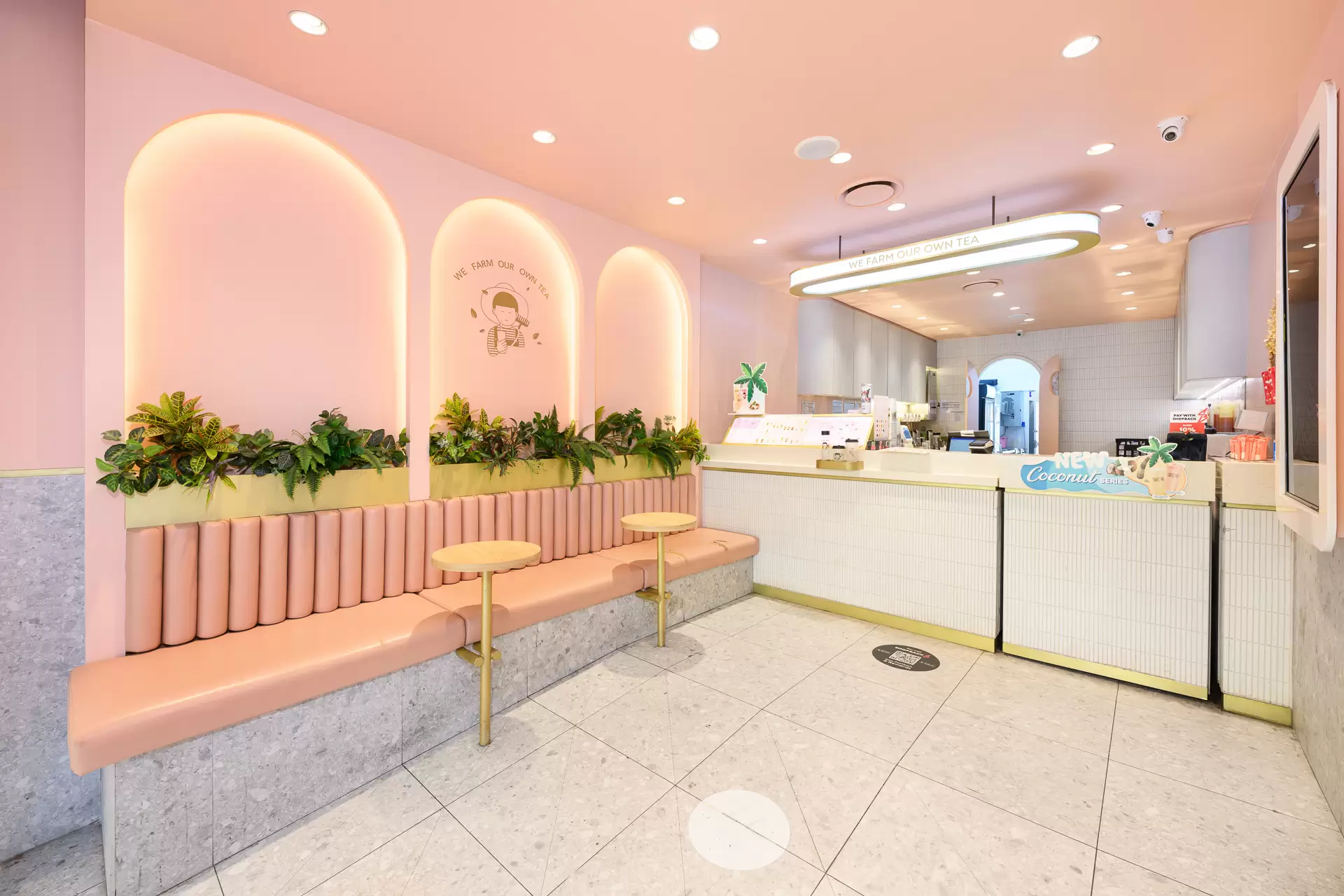 Chatswood Leased by Shead Property - image 1