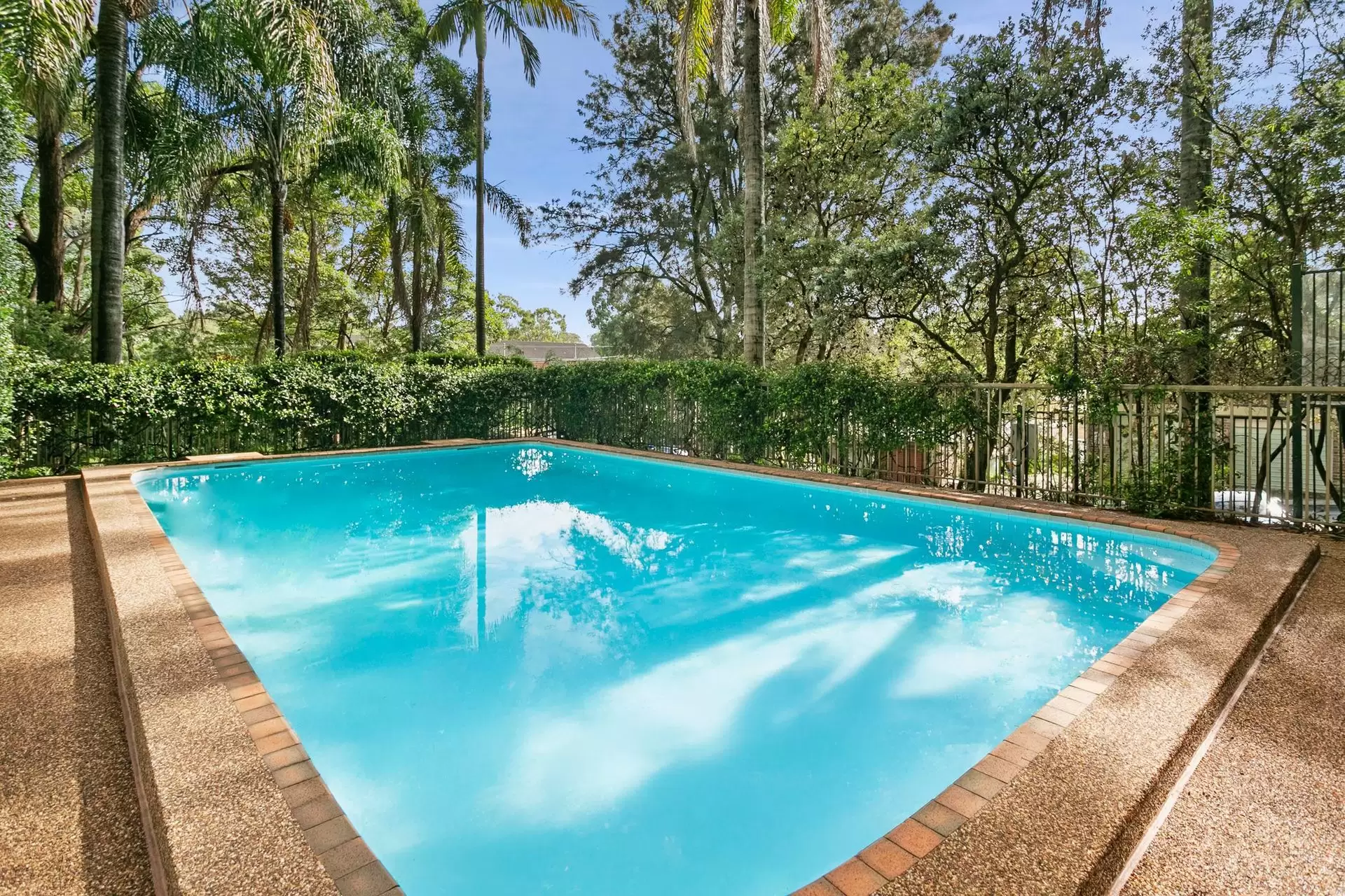 36/2 Francis Road, Artarmon Sold by Shead Property - image 1