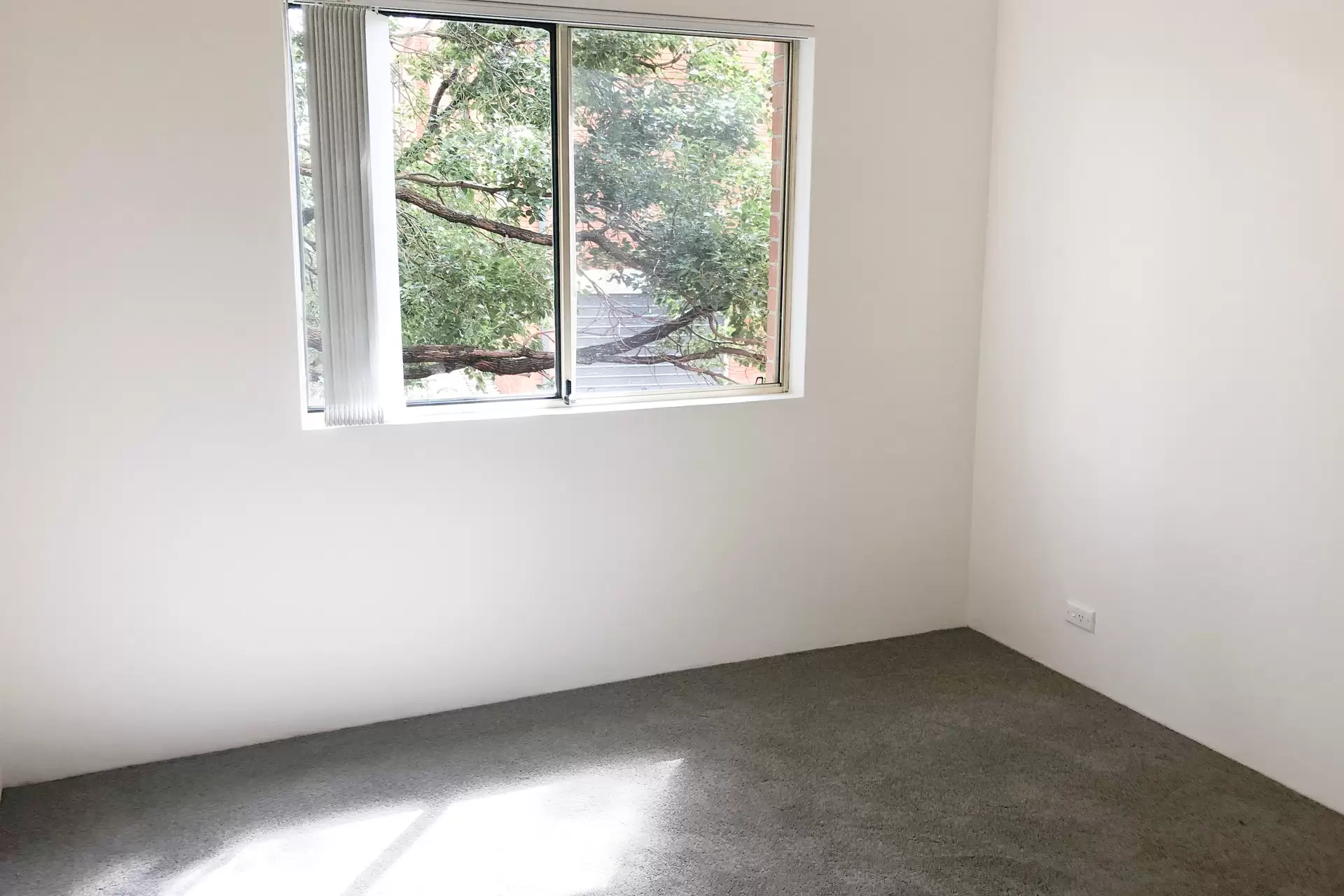 Artarmon Leased by Shead Property - image 1