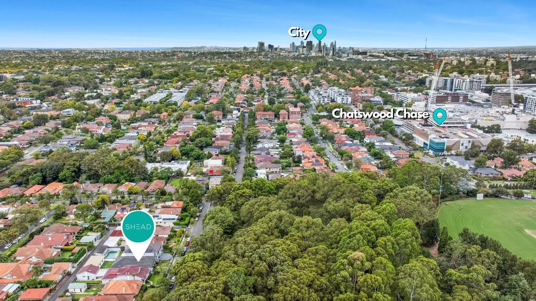 13 Darling Street, Chatswood Sold by Shead Property - image 1