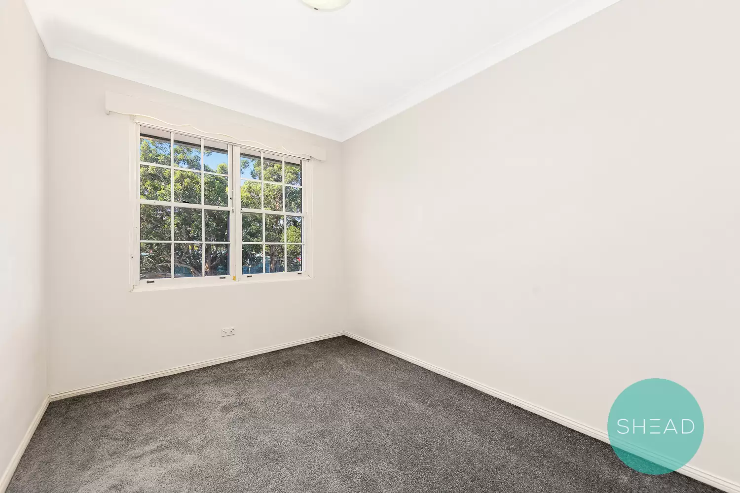 Gordon Leased by Shead Property - image 1