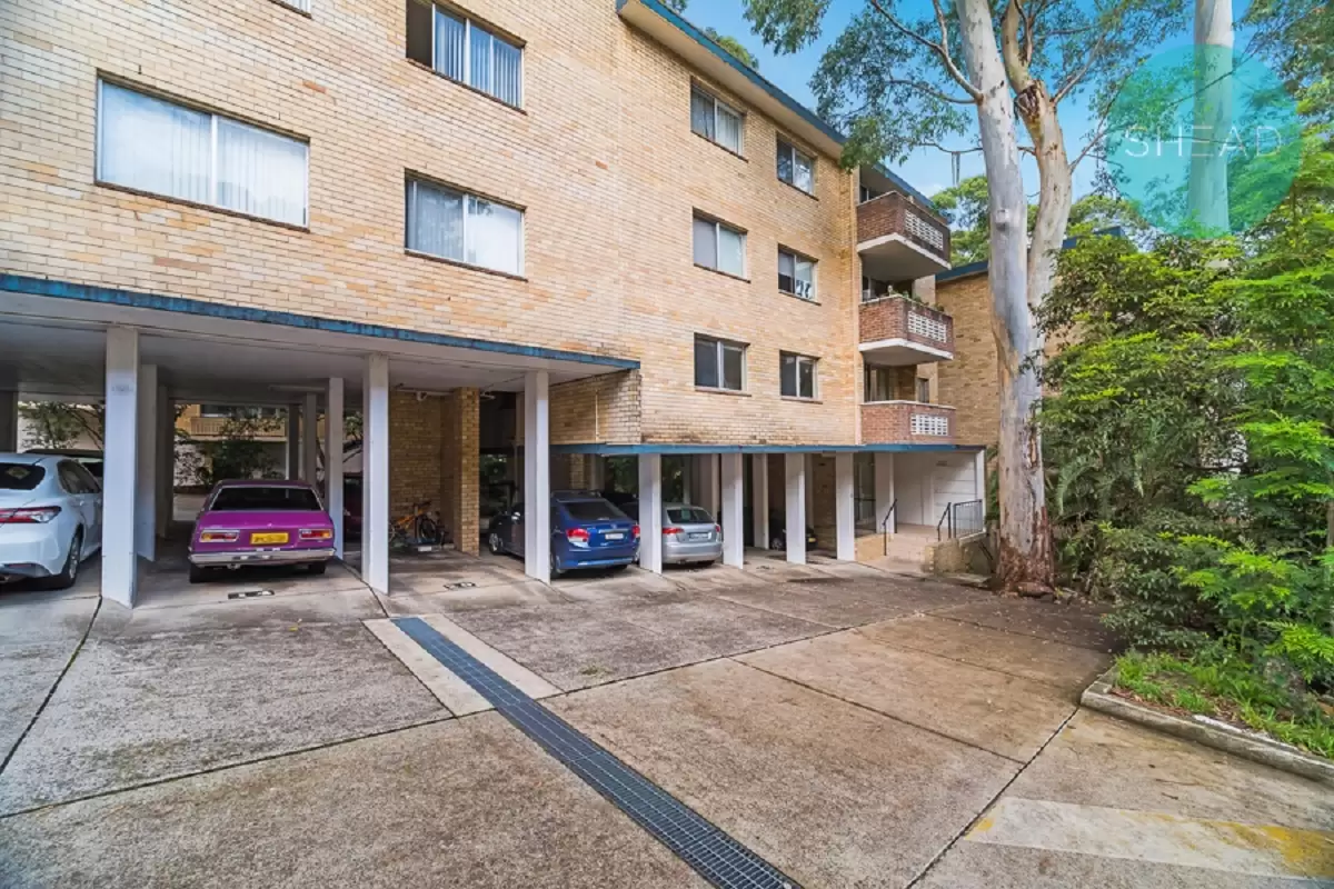 Lane Cove North Leased by Shead Property - image 1