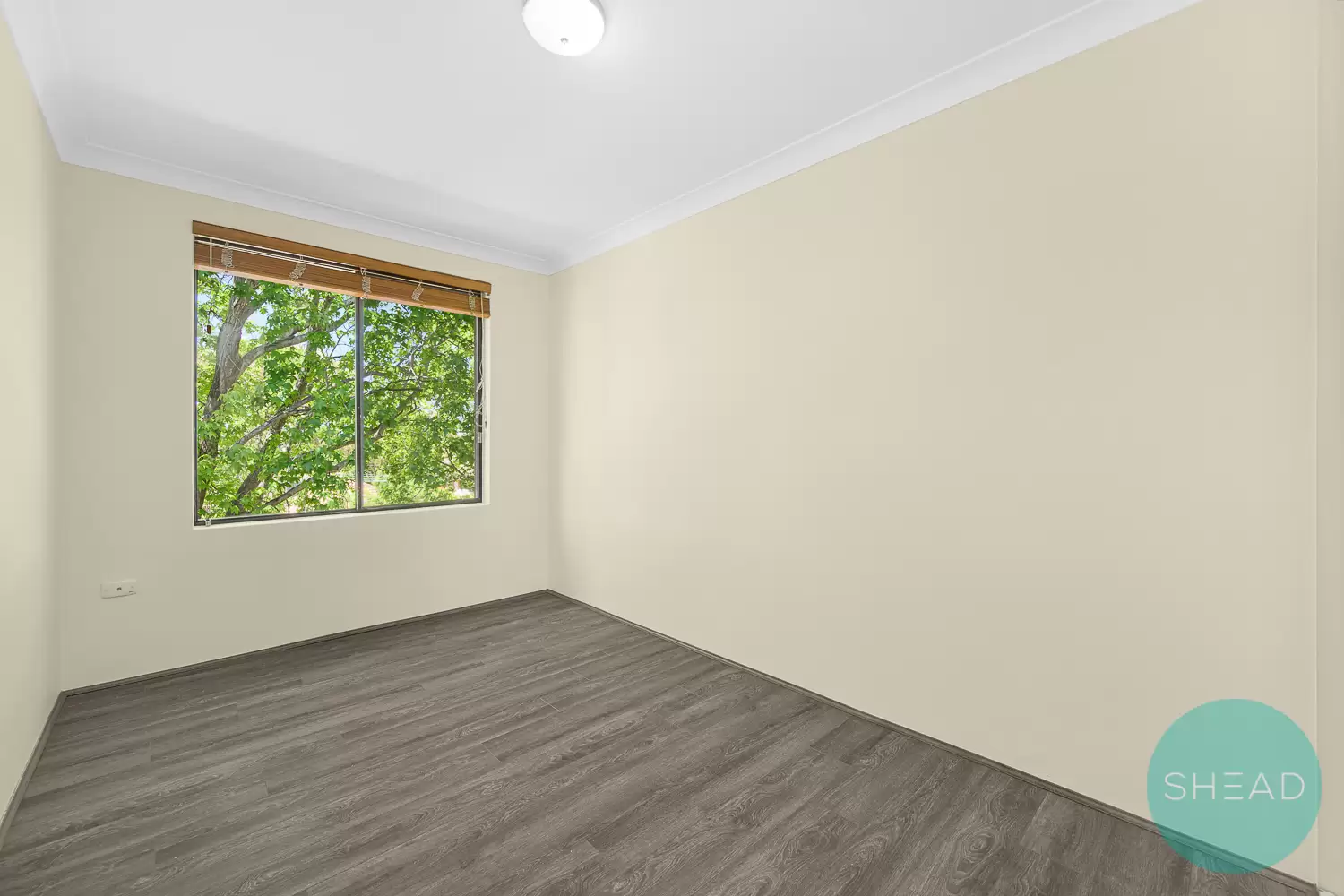 Willoughby Leased by Shead Property - image 1