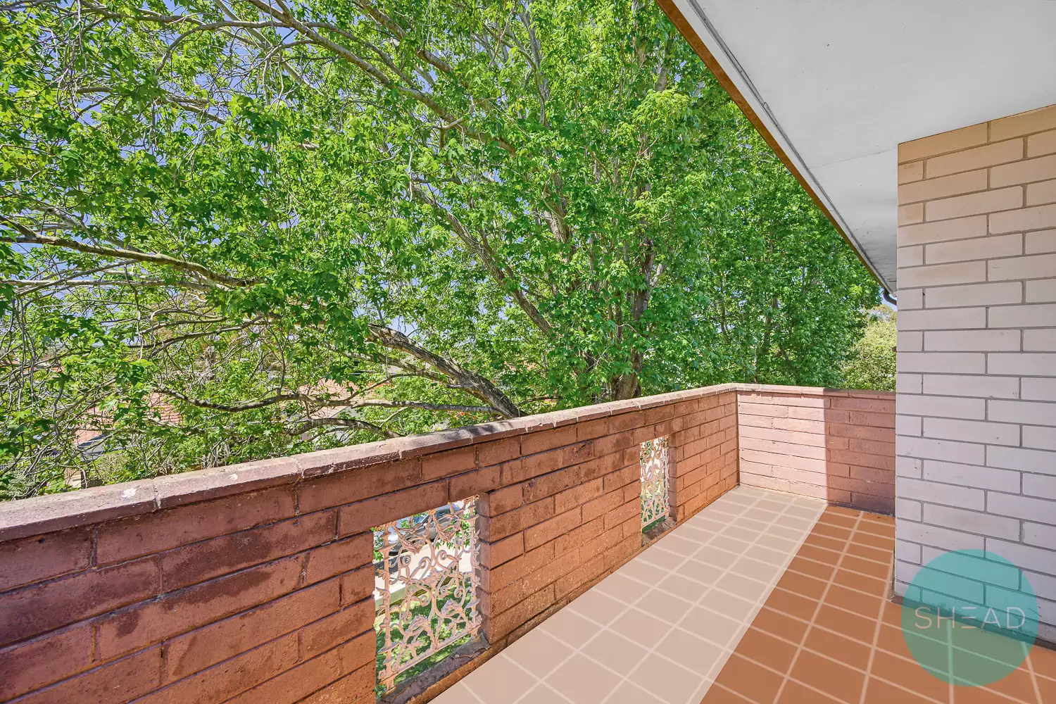 Willoughby Leased by Shead Property - image 1