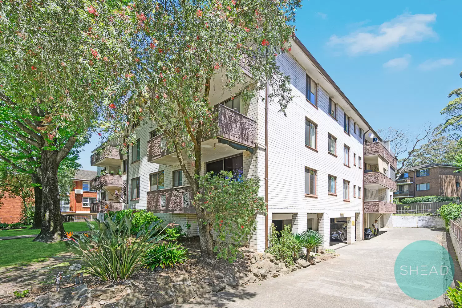 Willoughby Leased by Shead Property - image 1