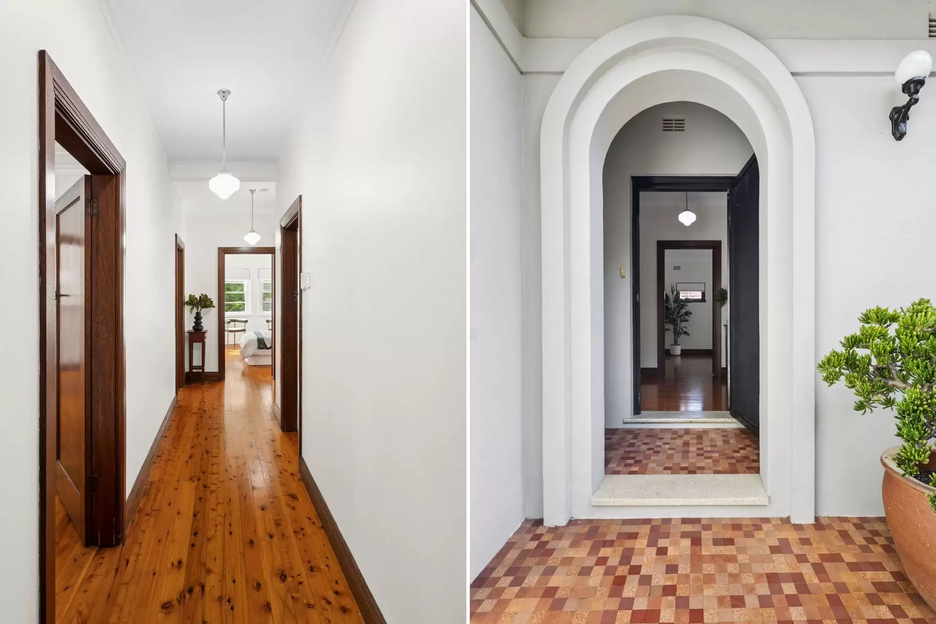 23 Anglo Street, Chatswood Sold by Shead Property - image 1