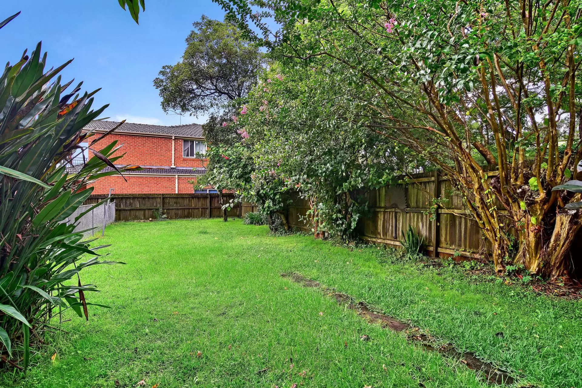 Chatswood Leased by Shead Property - image 1
