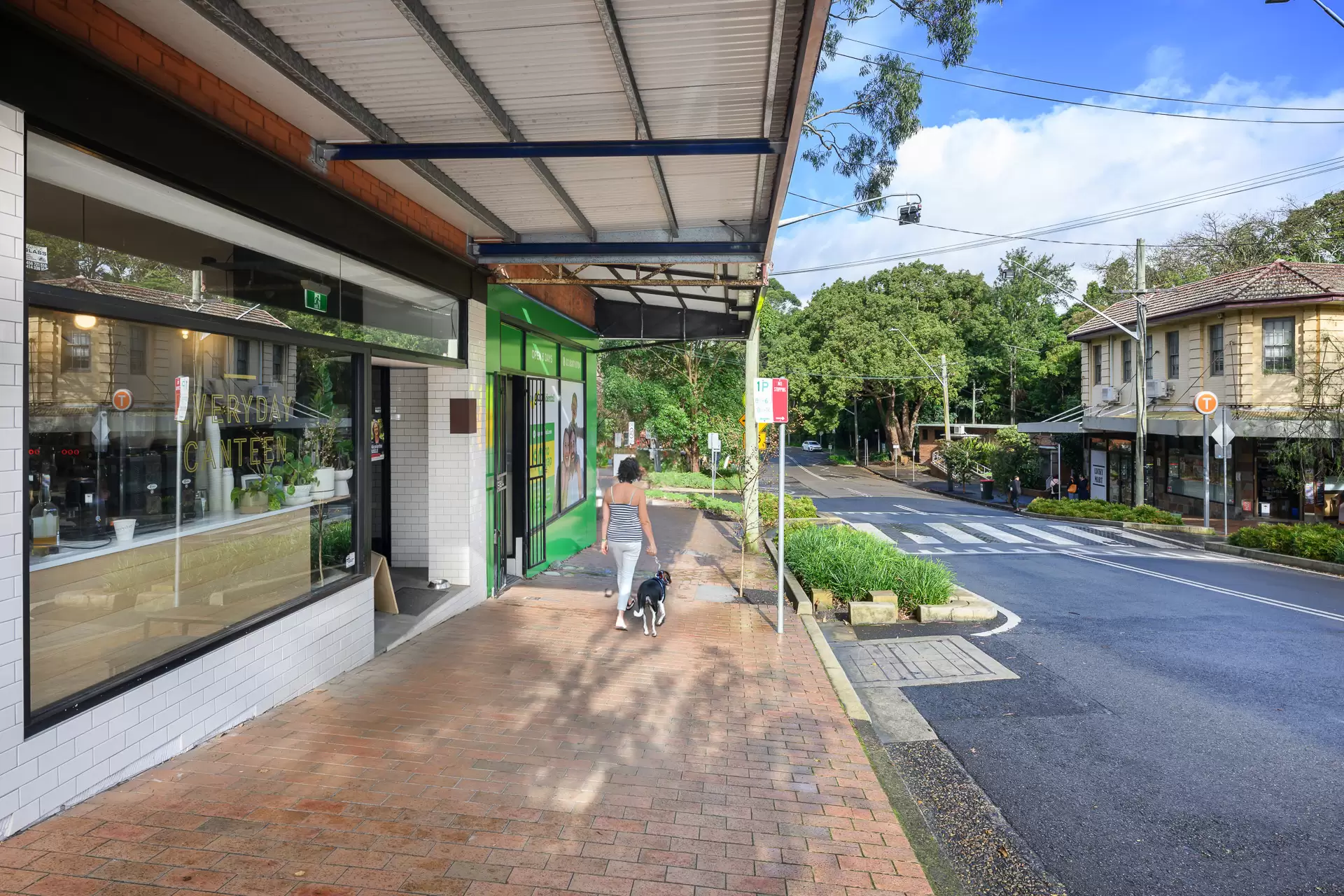 11 Elizabeth Street, Artarmon Sold by Shead Property - image 1