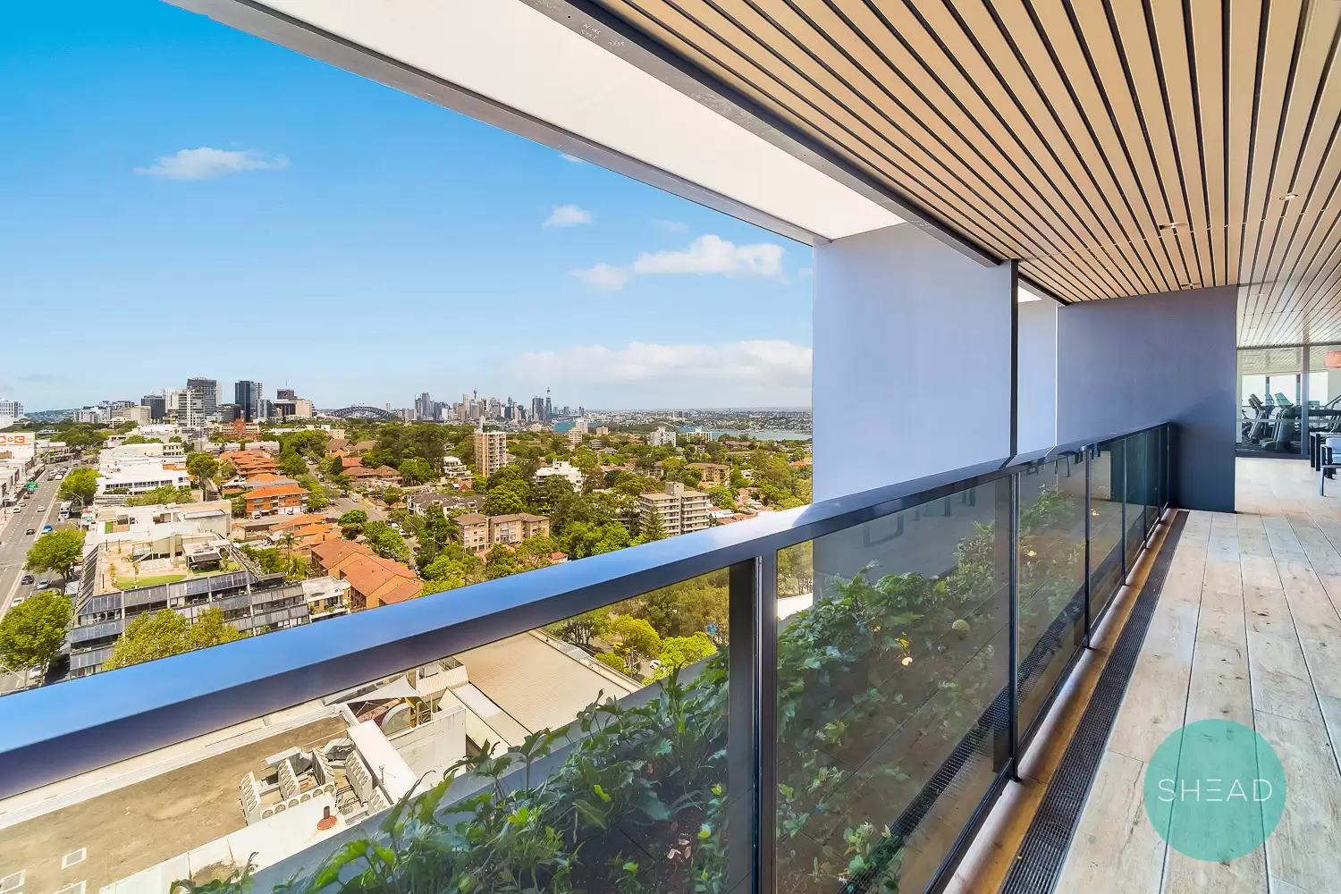 St Leonards Leased by Shead Property - image 1