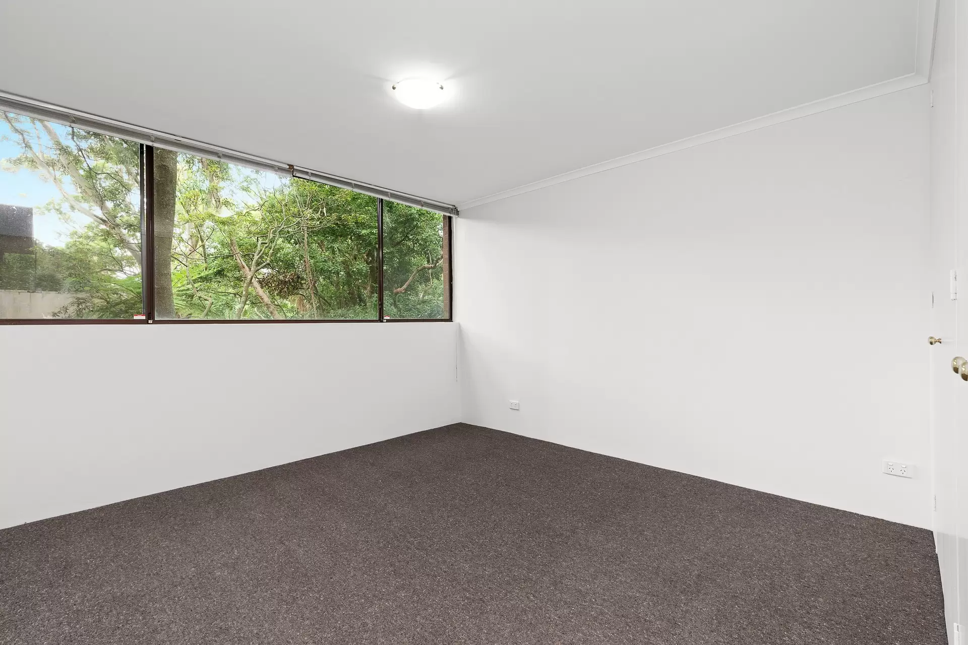 Chatswood Leased by Shead Property - image 1