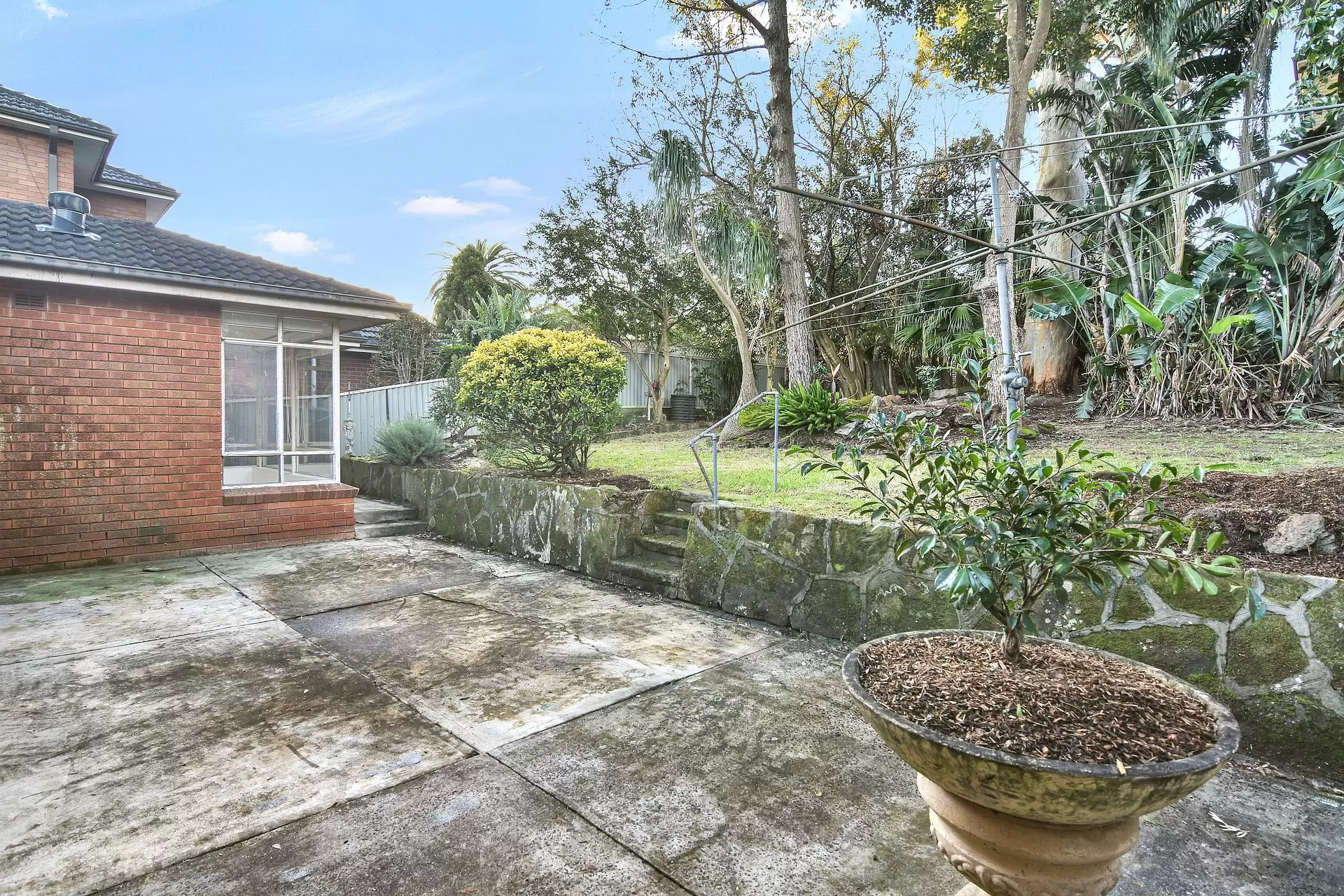 Lane Cove North Leased by Shead Property - image 1
