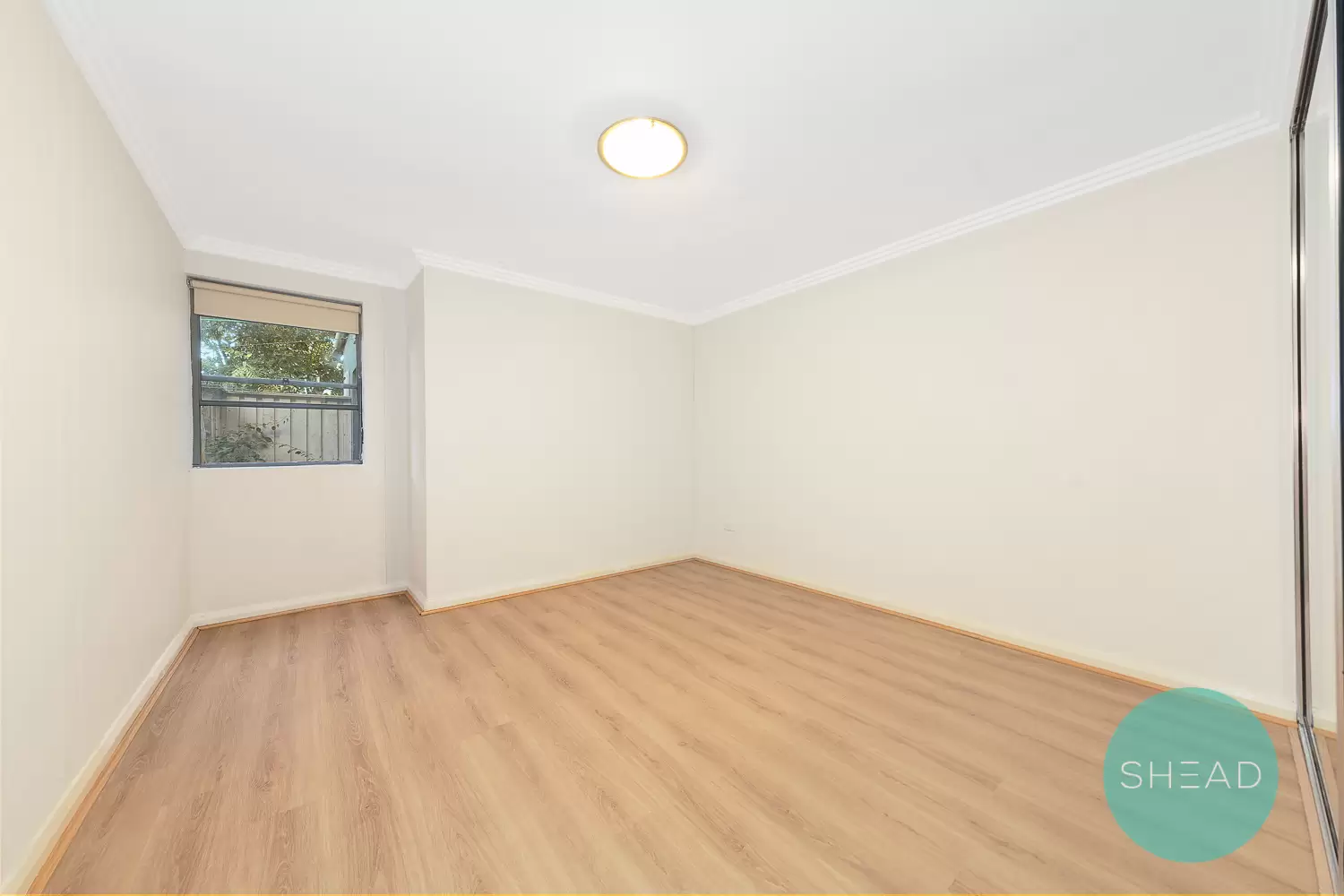 Chatswood Leased by Shead Property - image 1