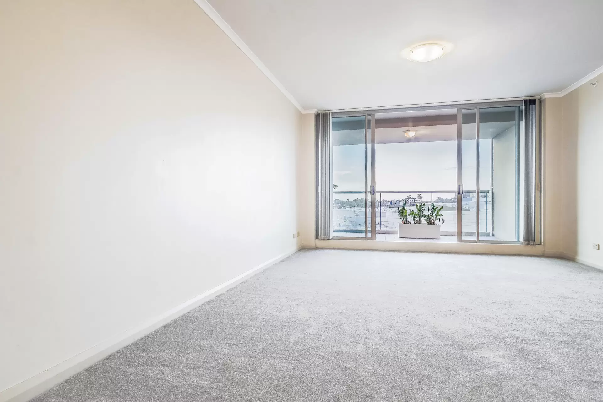 Chatswood Leased by Shead Property - image 1